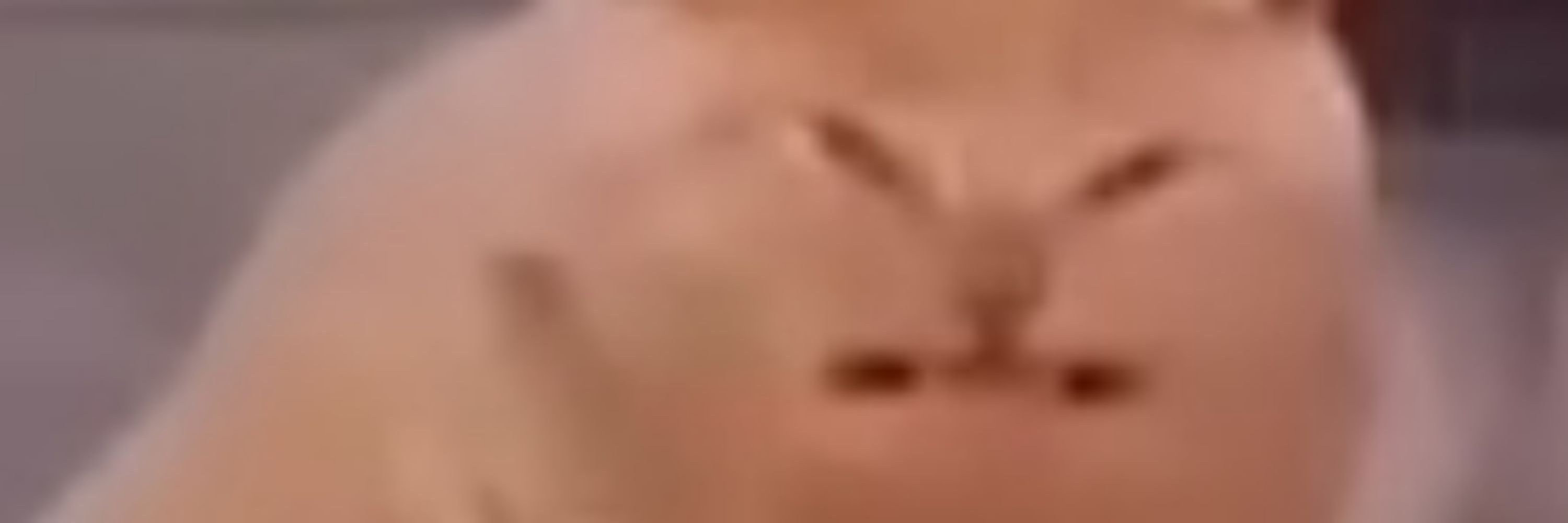 YiXi's left hair strand