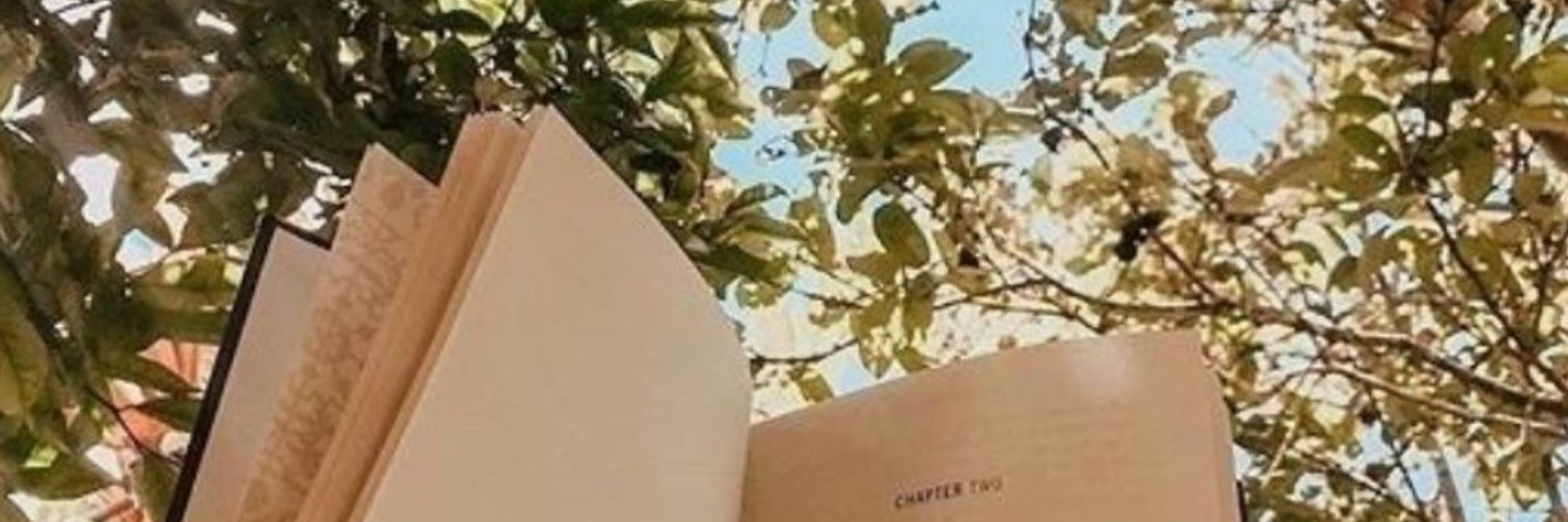 Cora // Bücherdiebin 