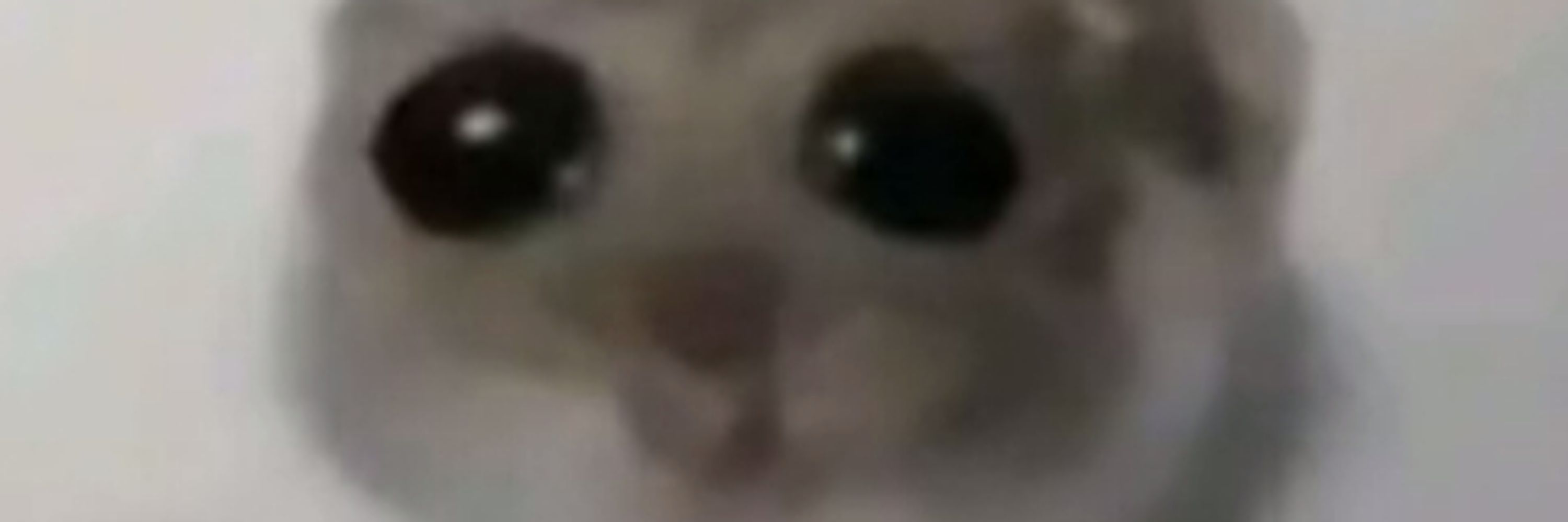 Fer