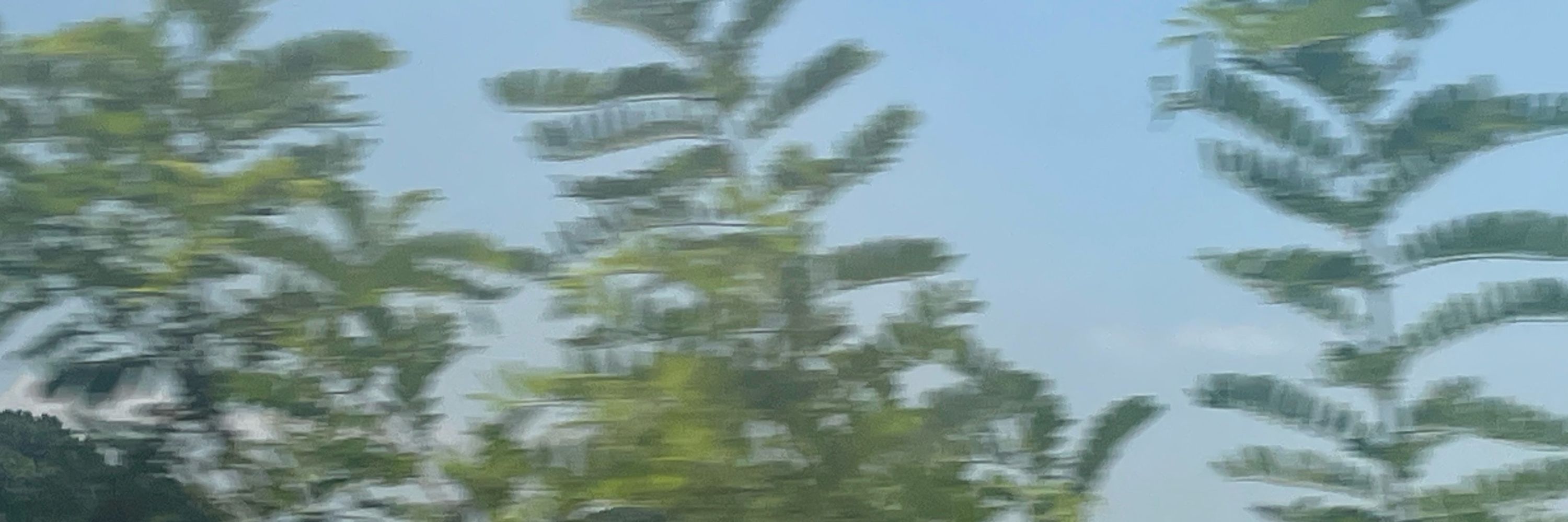 잉여A