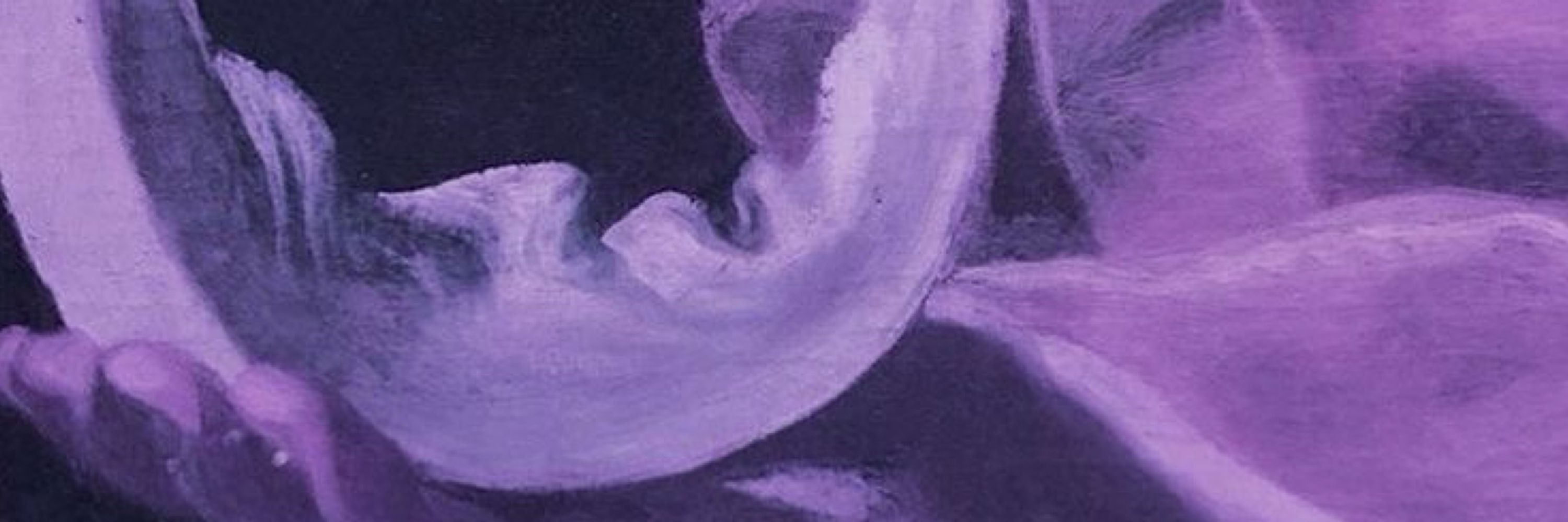 🌙