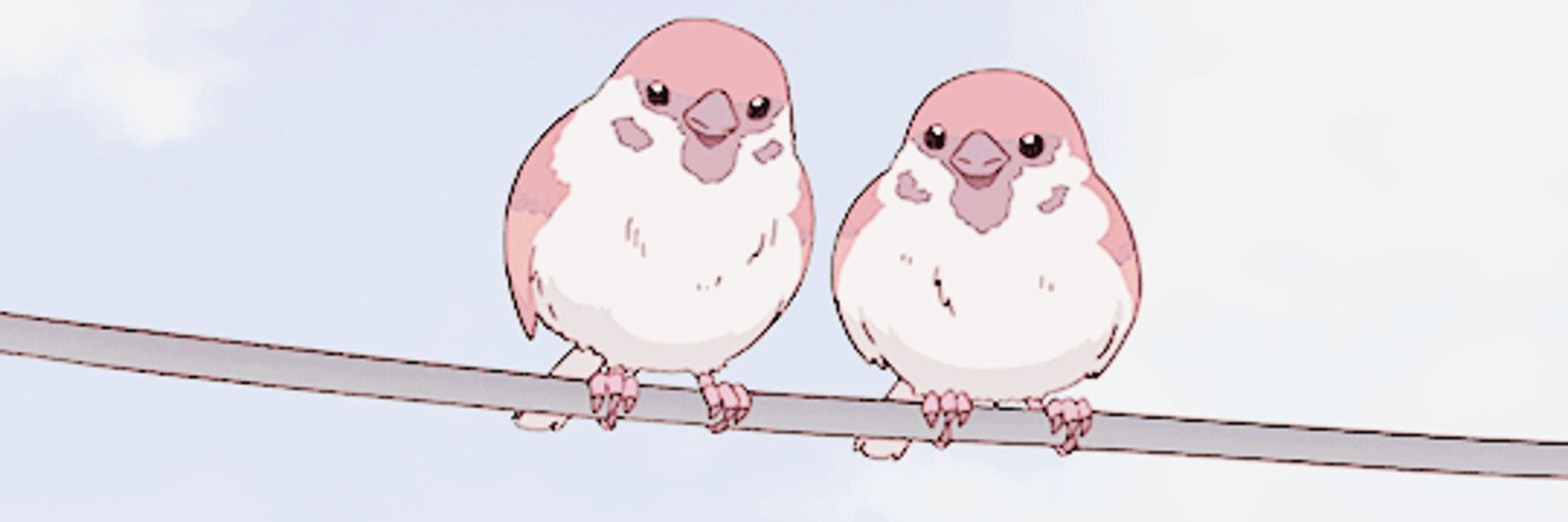 Little Bird