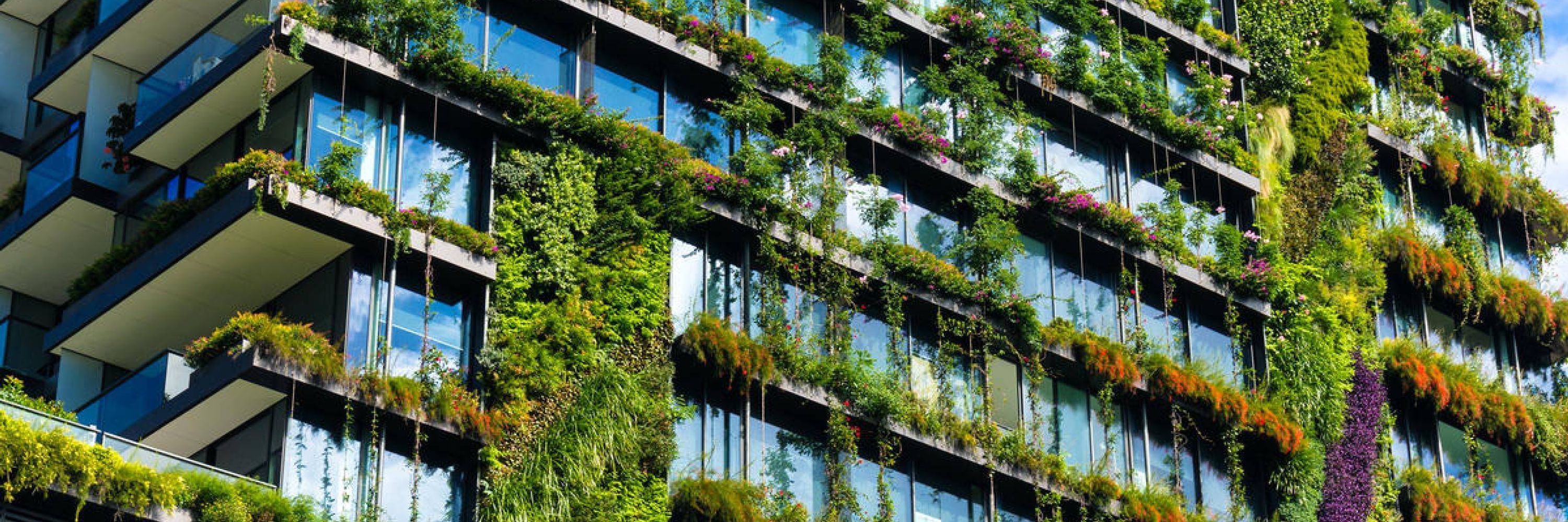 WWF Cities