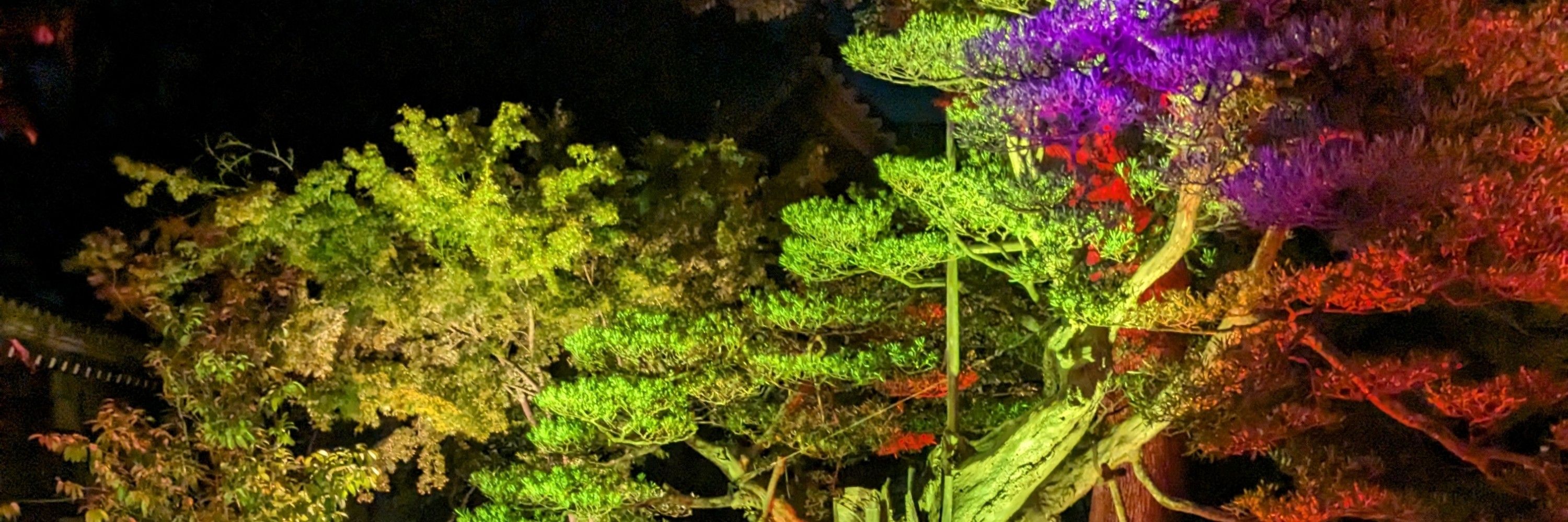 さか