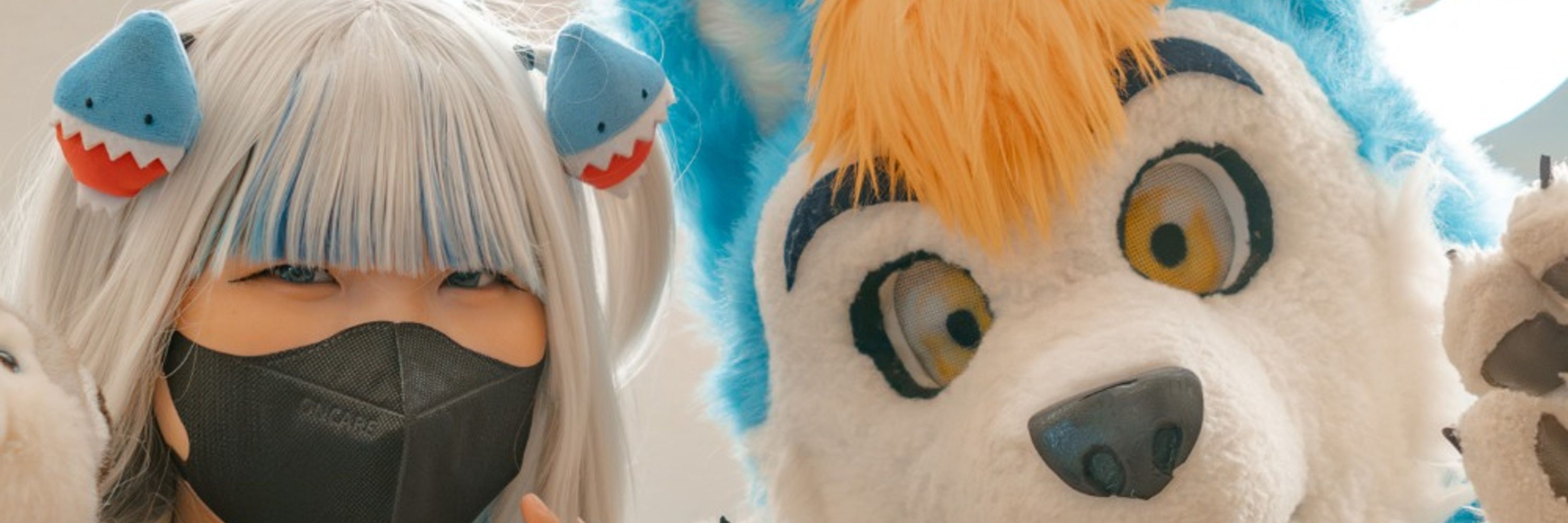 Itchi Husky