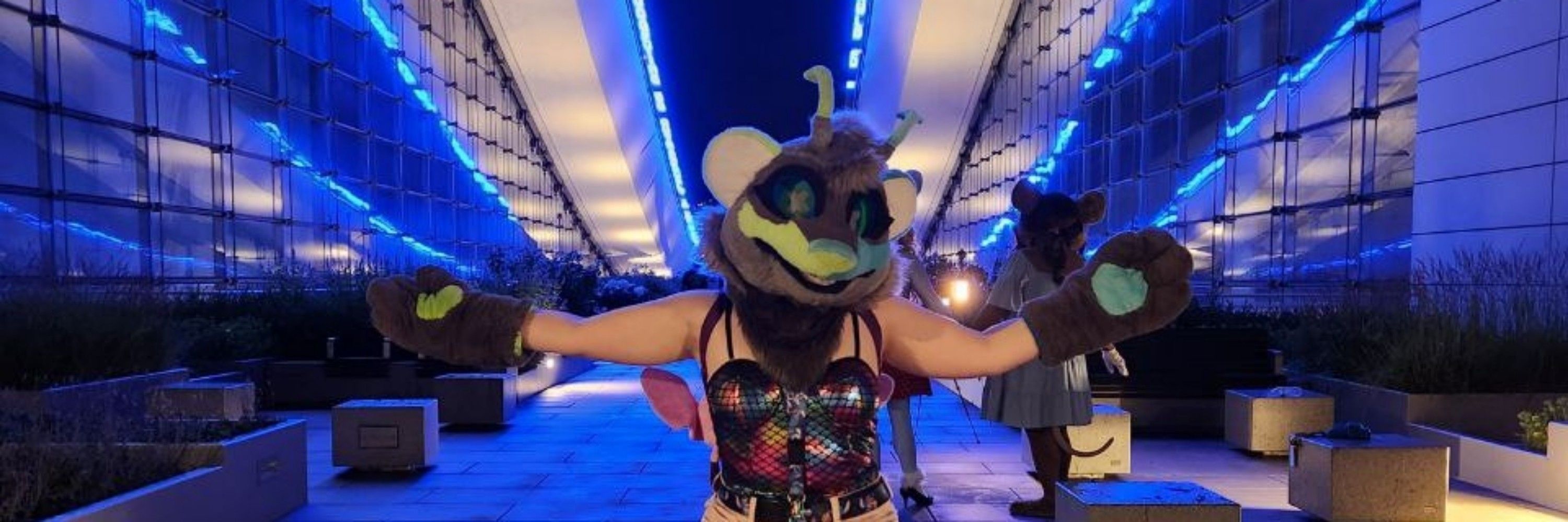 Nexa Ferret