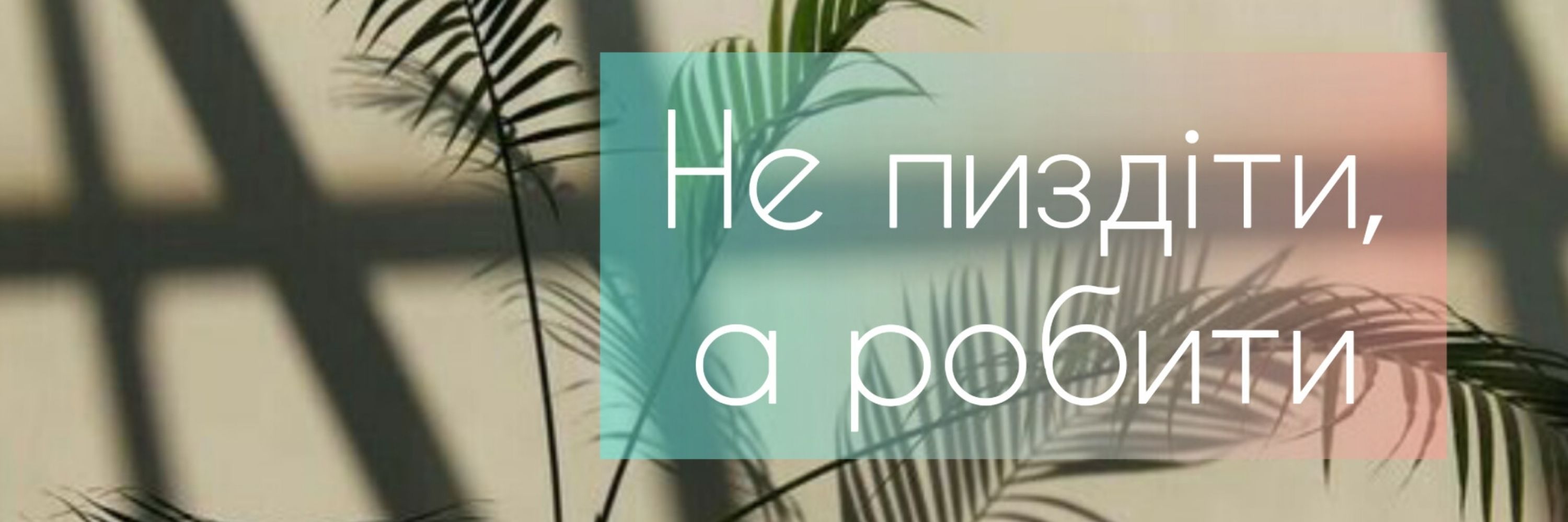 Місіс Крисіс 🐀🧶