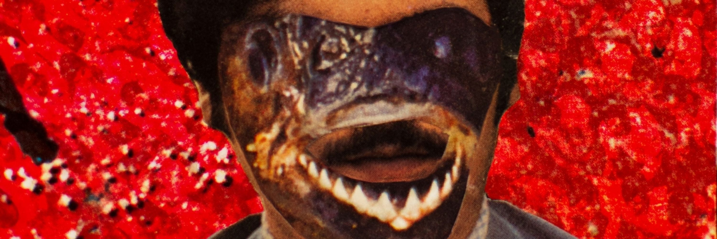 platypotamus