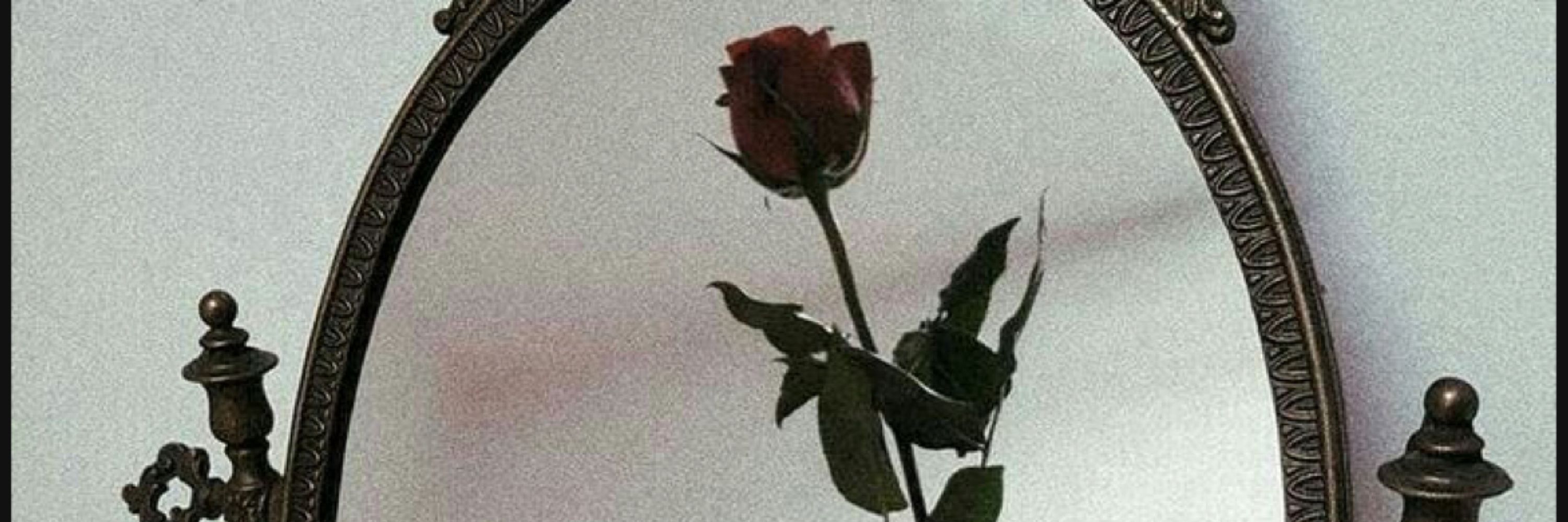 Luna Seranova 🥀