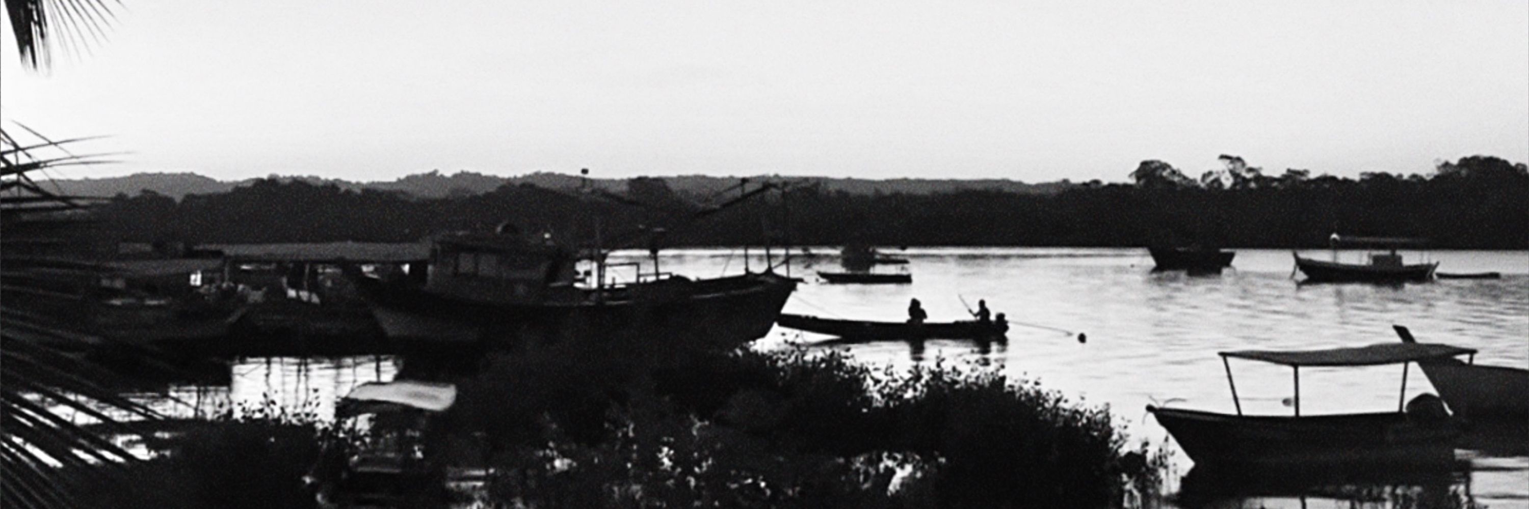 bia.