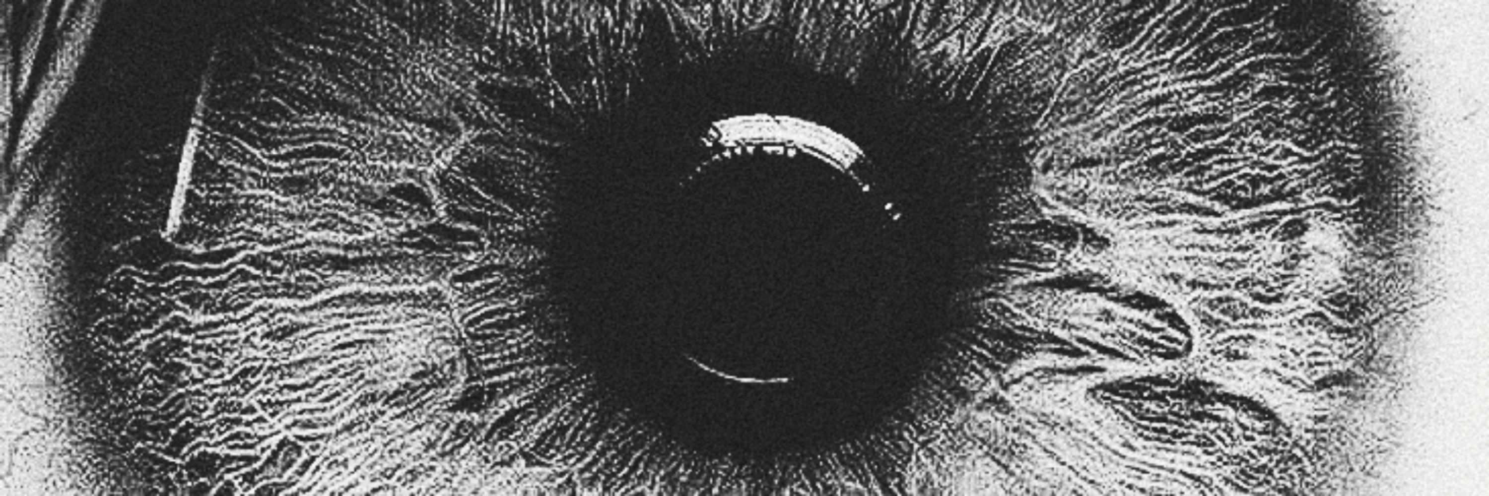 ͏ ͏ ͏ ͏ ͏ ͏