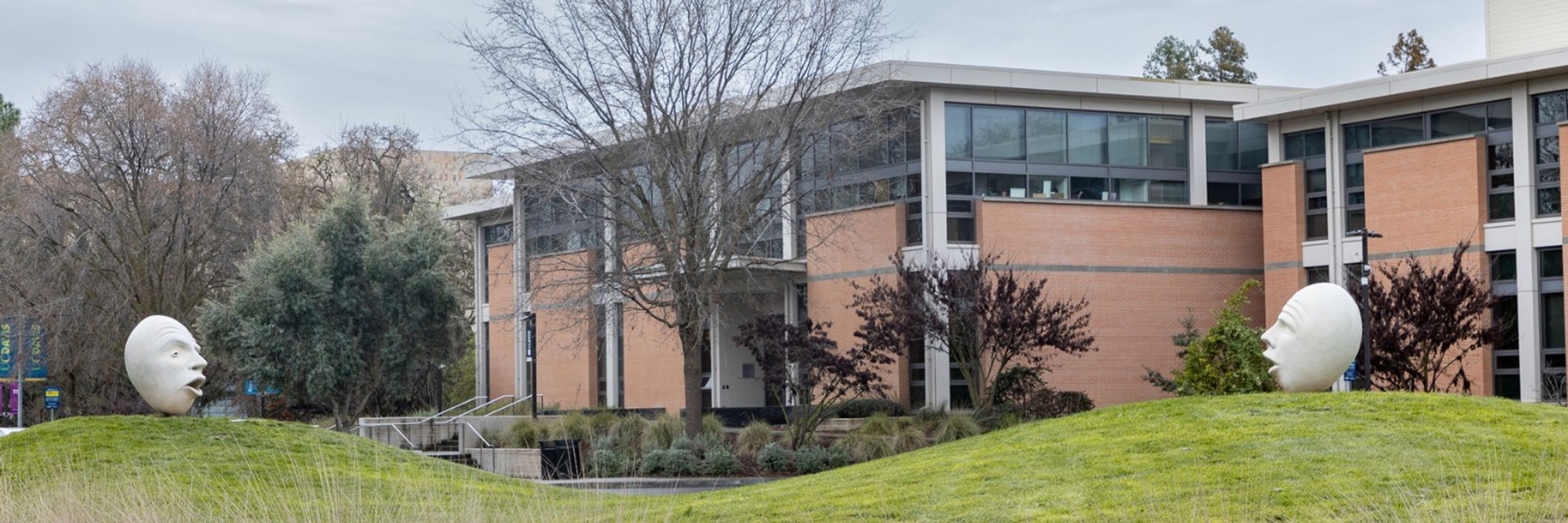UC Davis School of Law