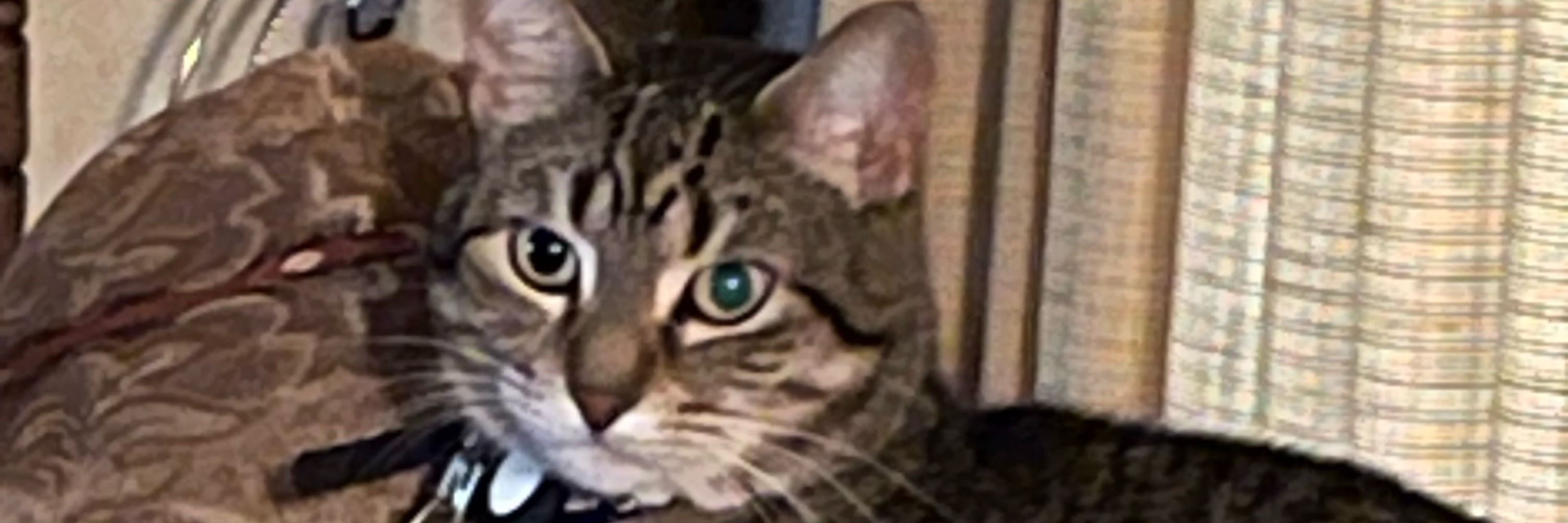 Marty Kaspar