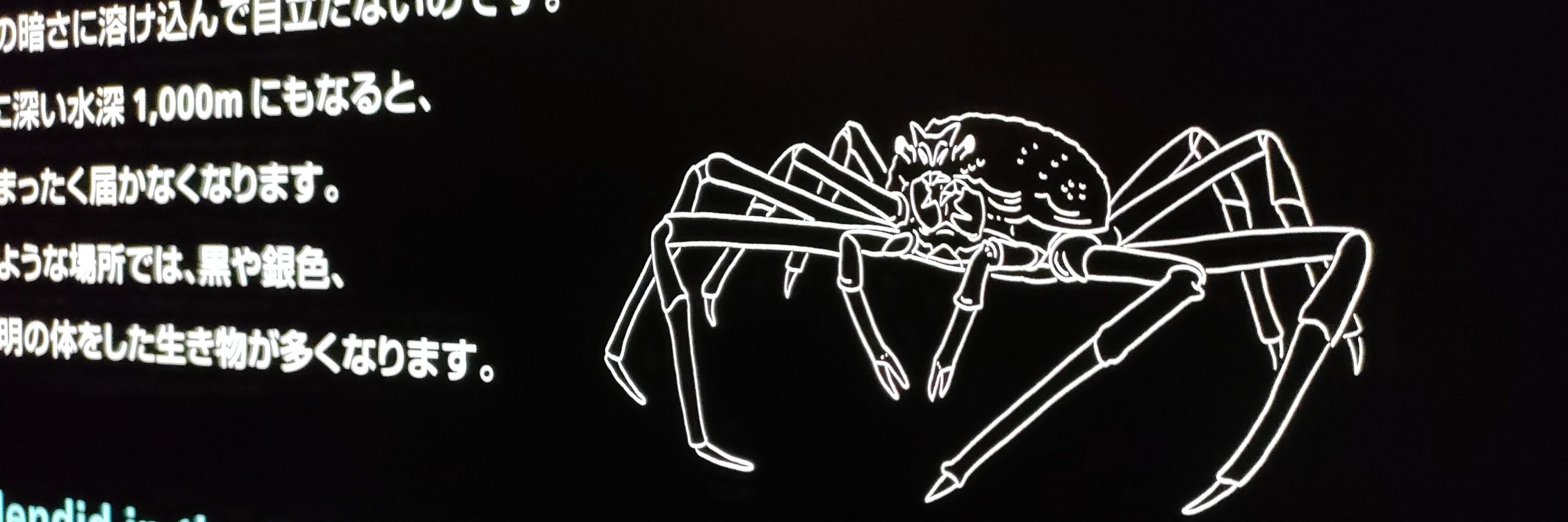 るなーる