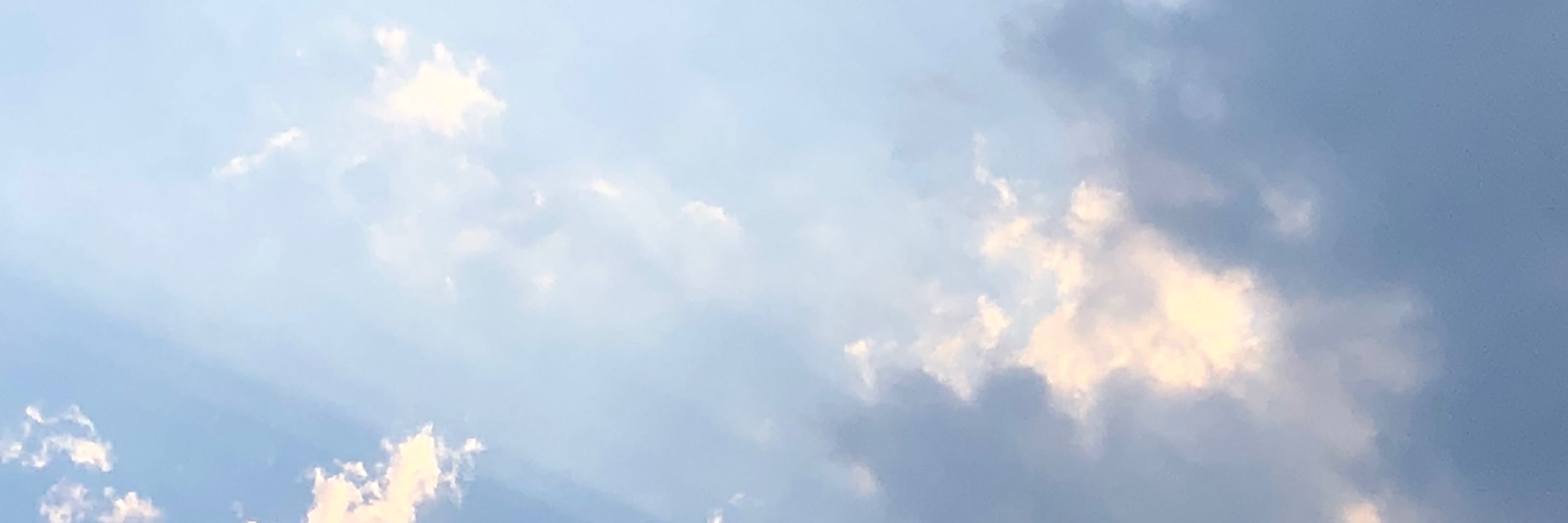 ぱむ