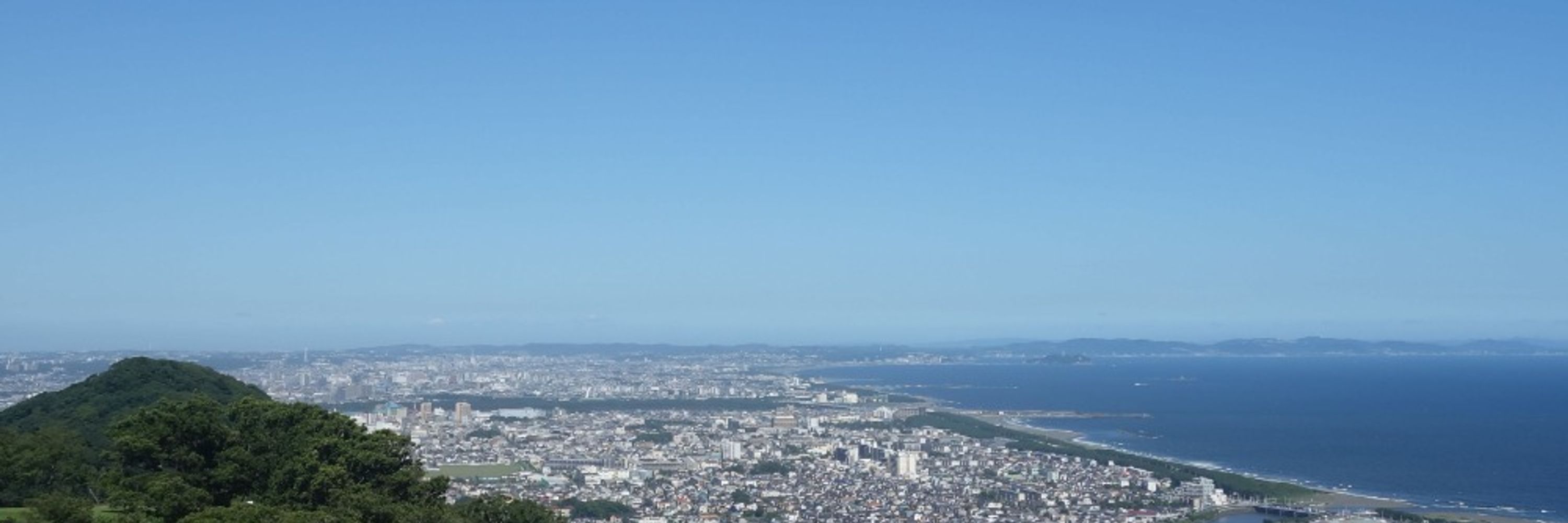ランディ