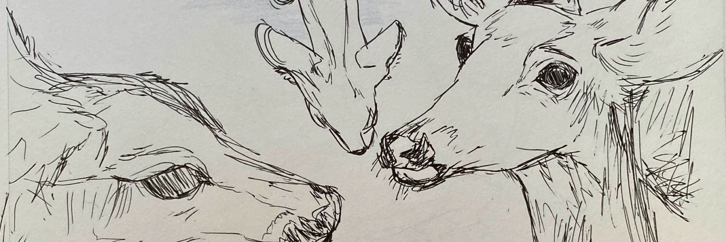 ash 🧪🐀