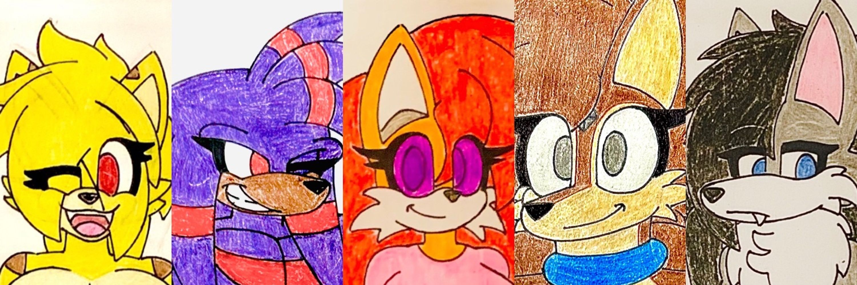Zack The Hedgehog