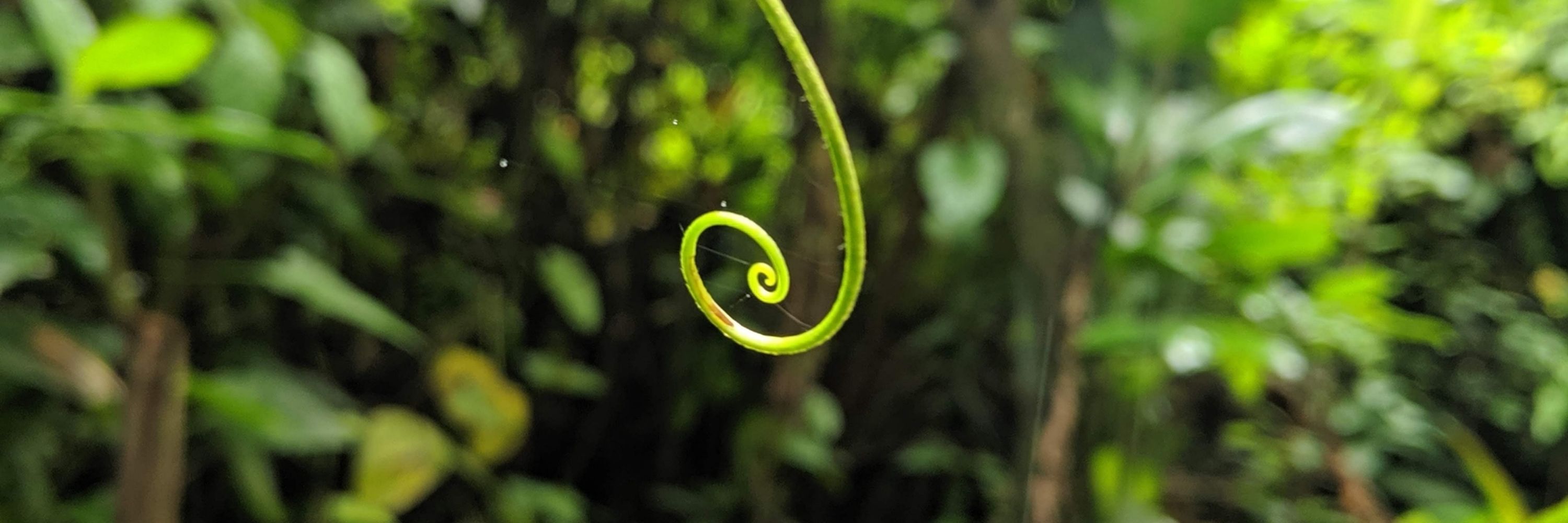 Citlalli Vergara