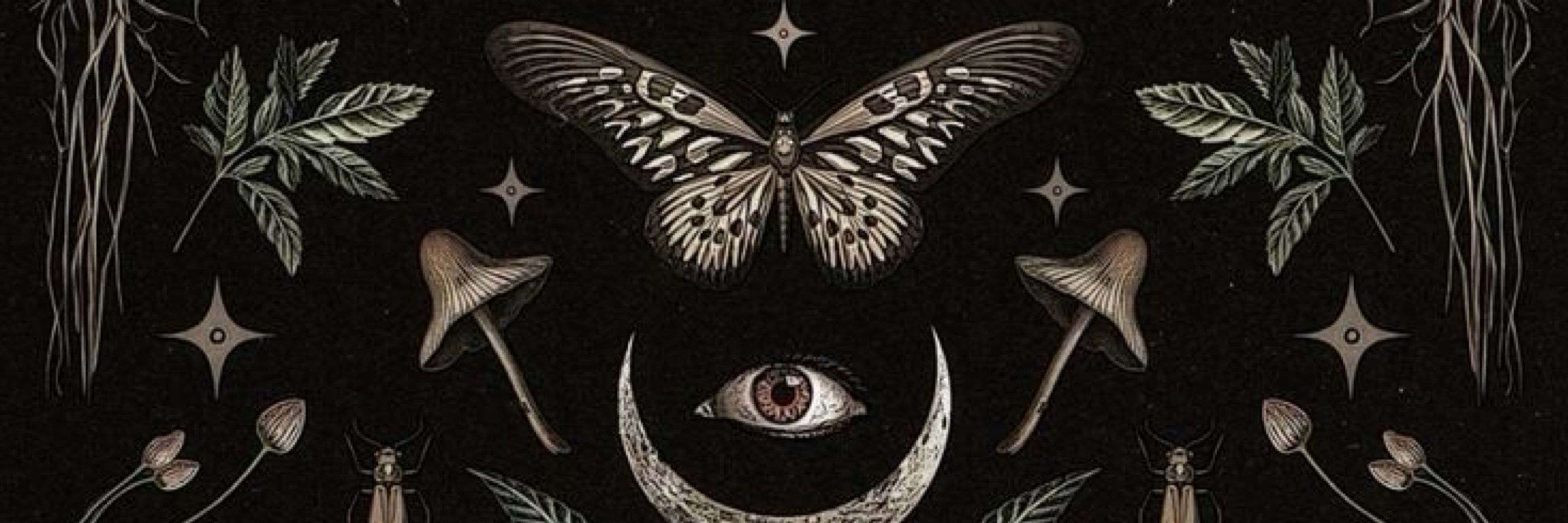 ✨𝕸𝖊✨