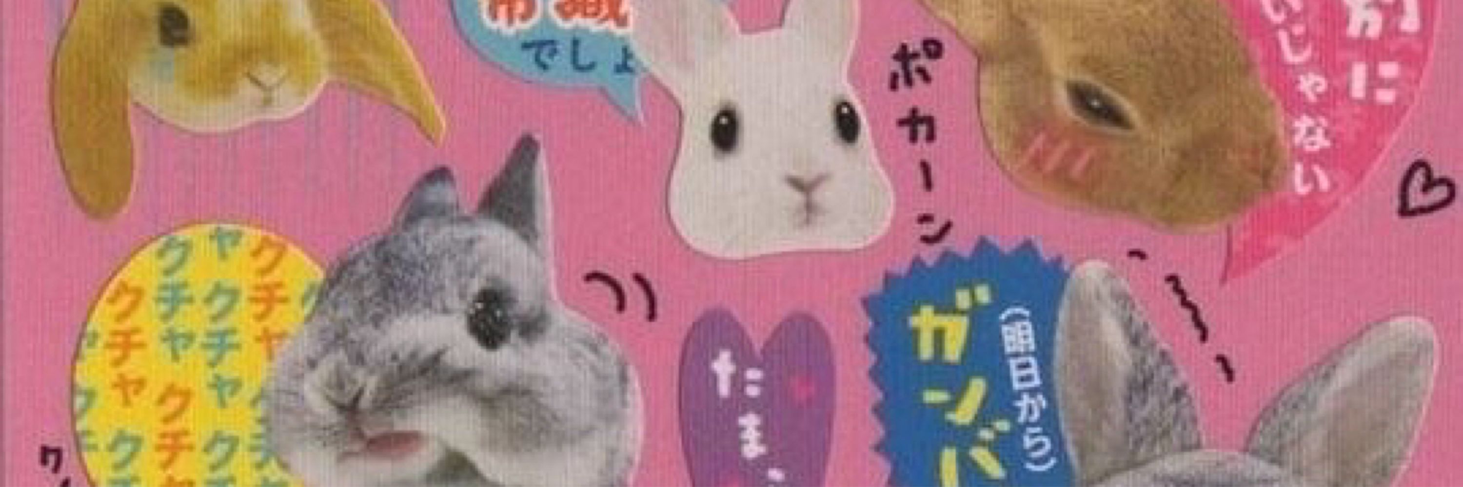 ベサニー🪷