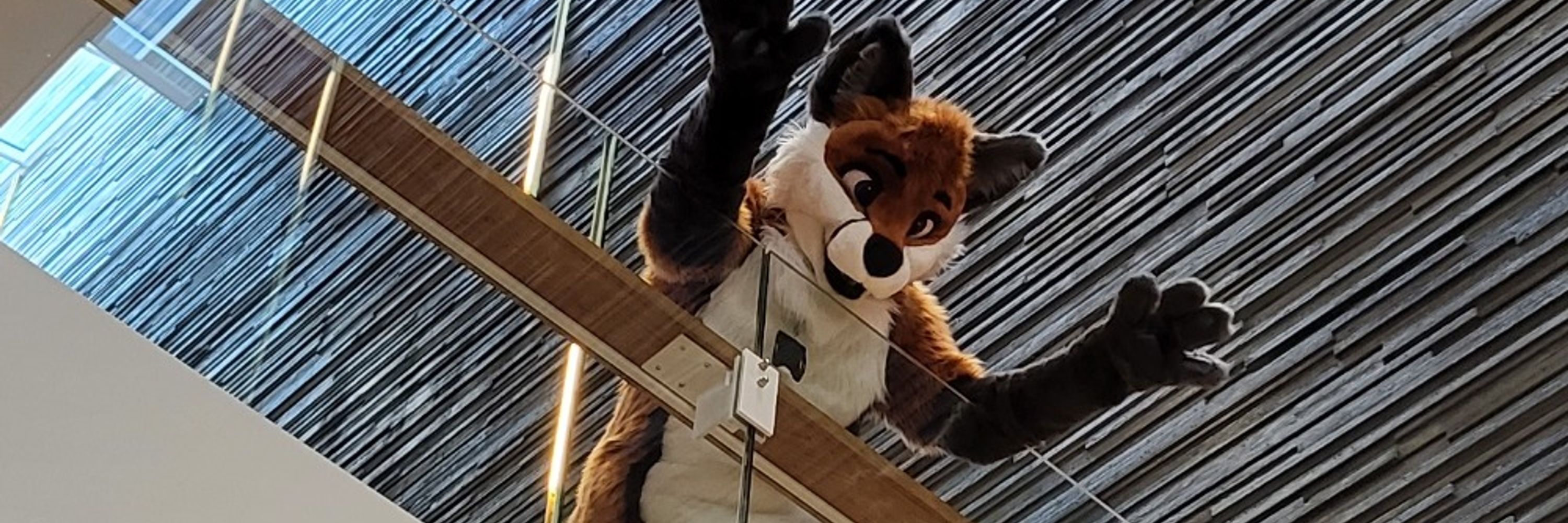 RexTheFox
