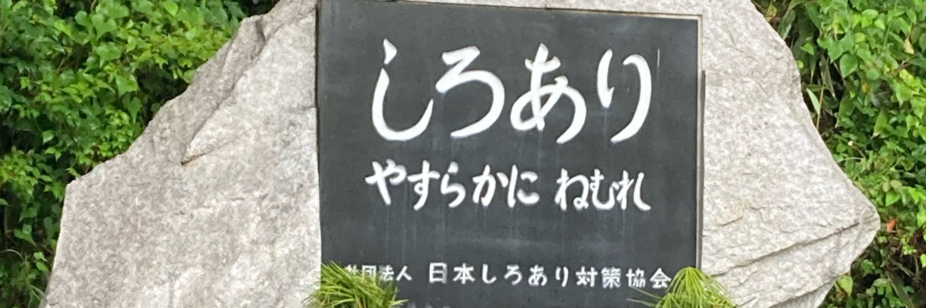 しゃっく