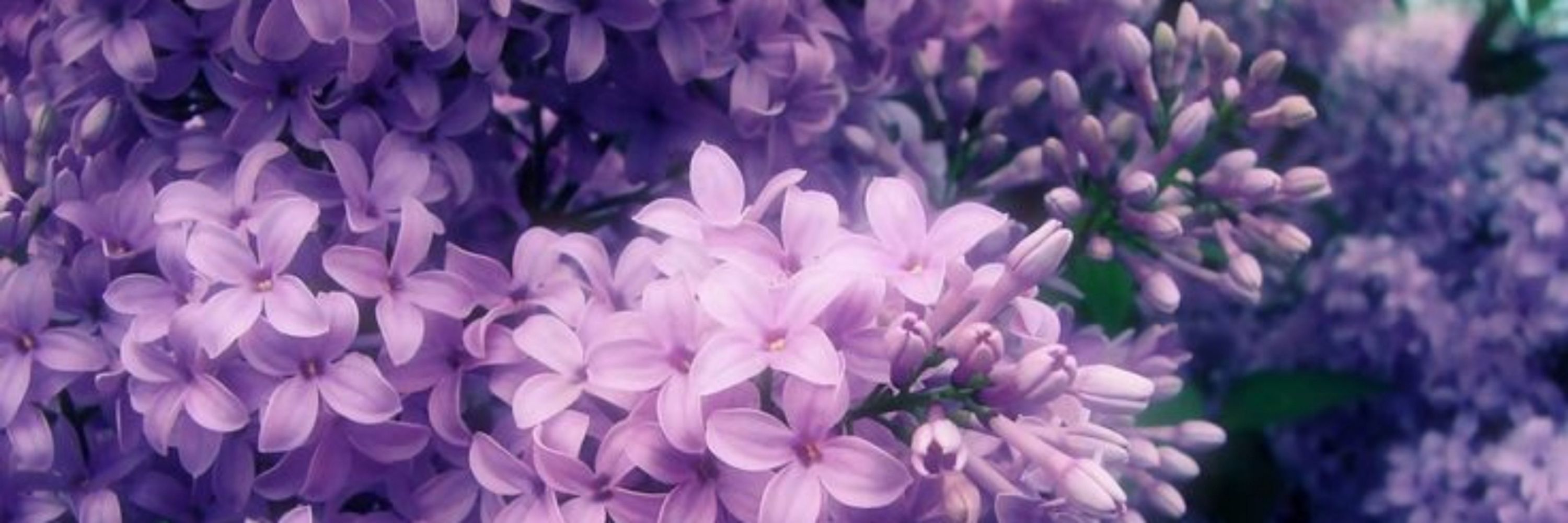 🌸Ирмочка.|Лайф