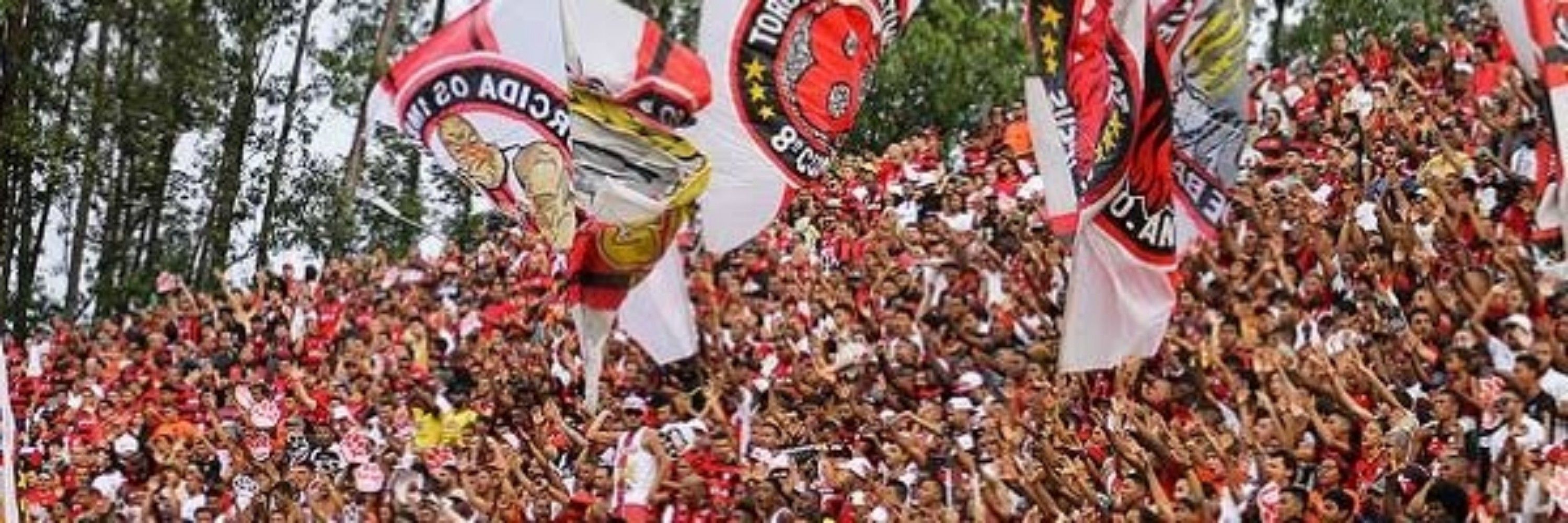 Leão Minha Paixão 