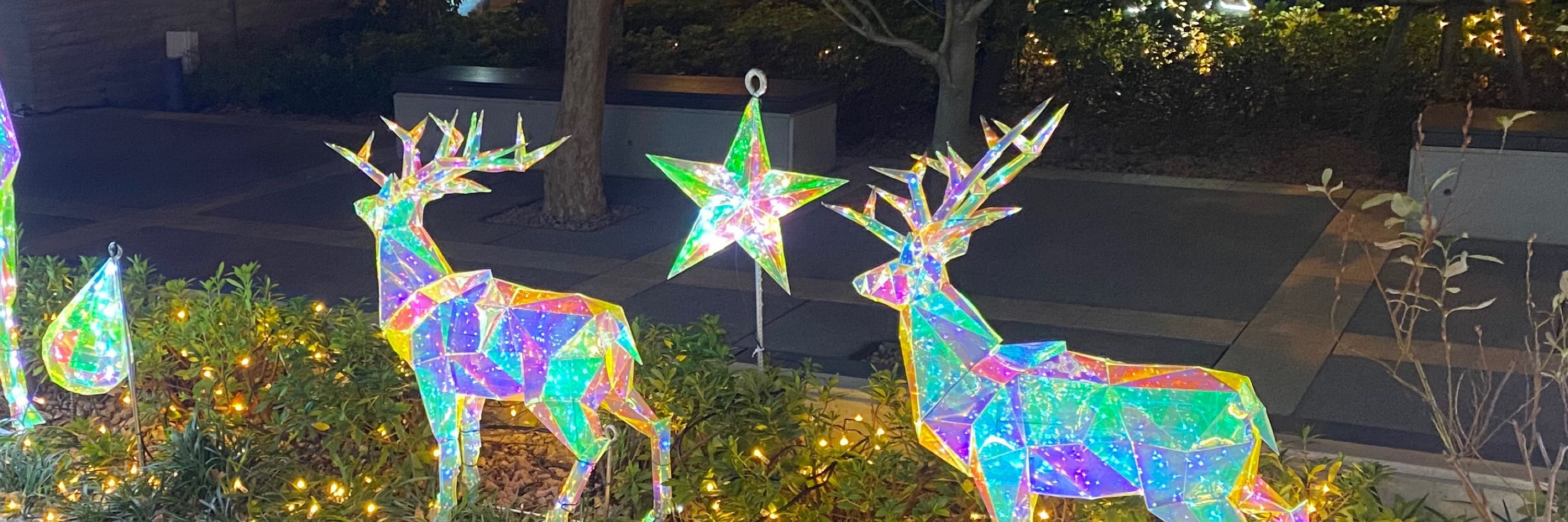 信親