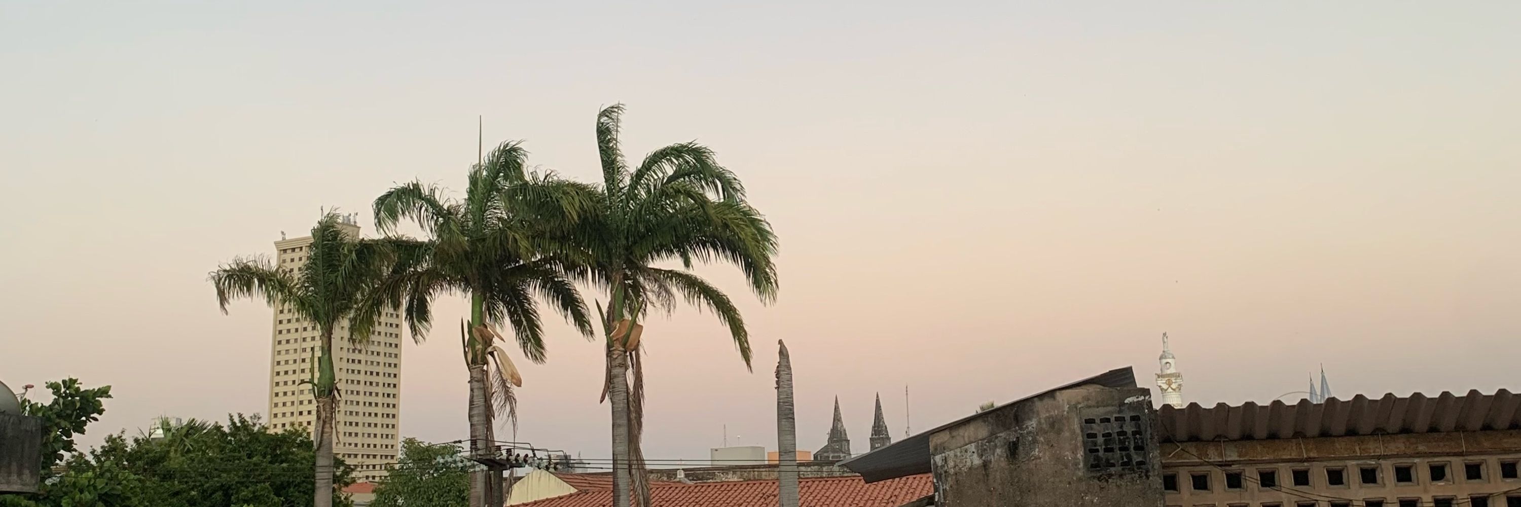 jurídico da coitadolandia 