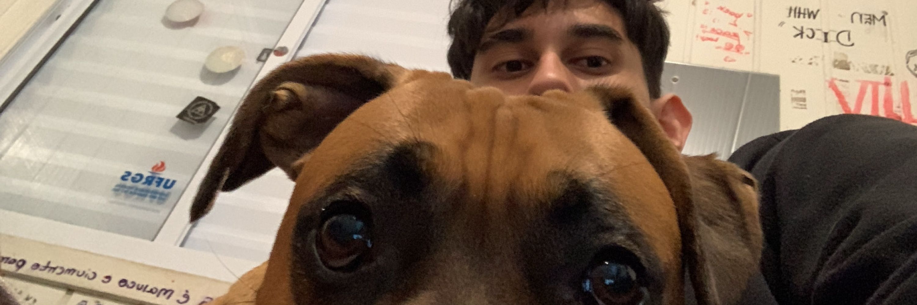 phiJJ 