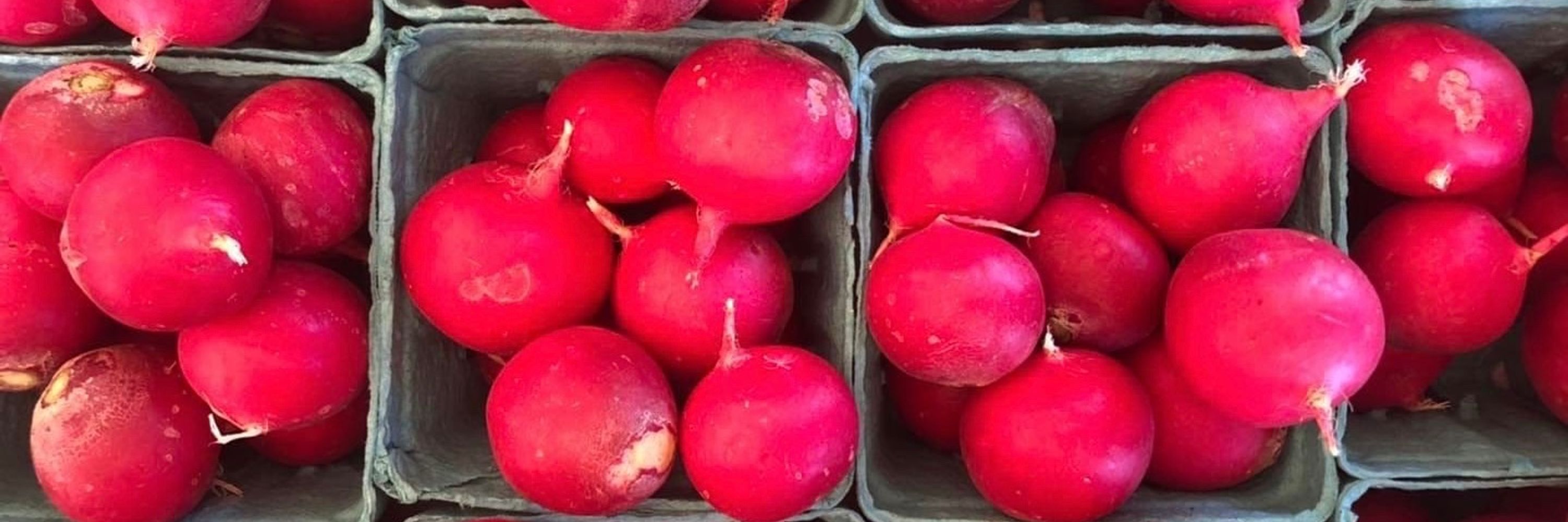 Evil Radish