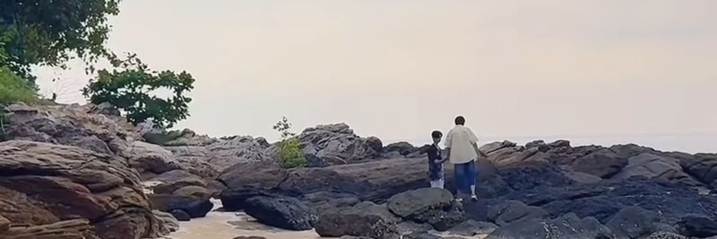 มม.