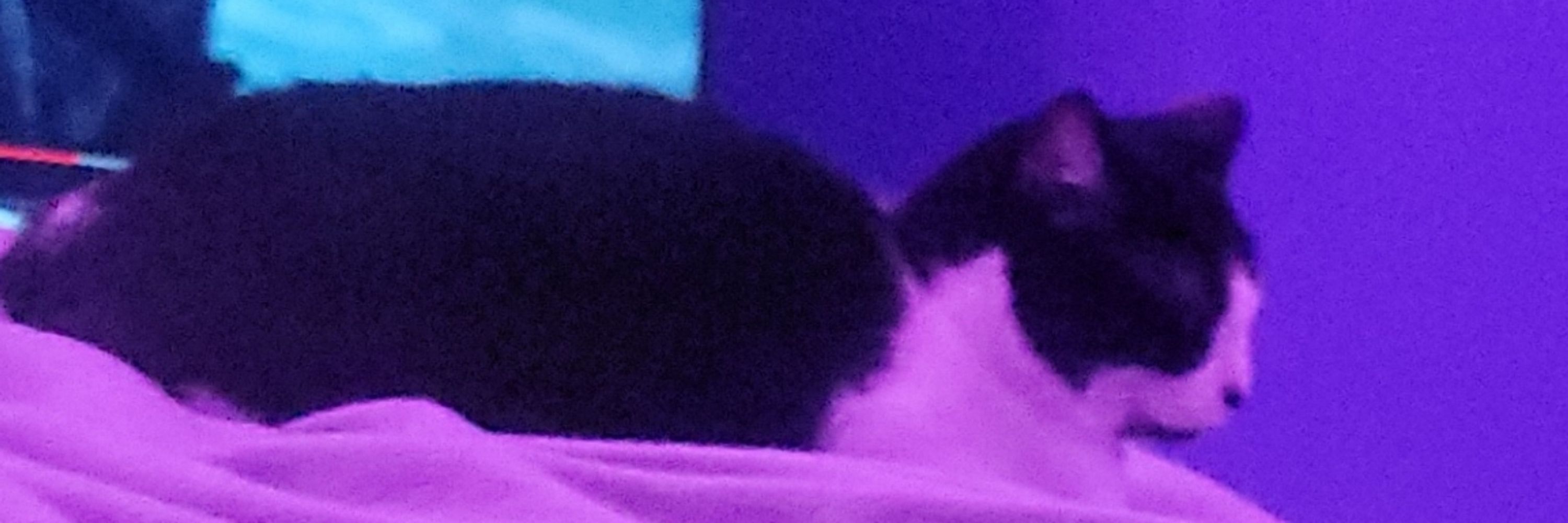 Jen