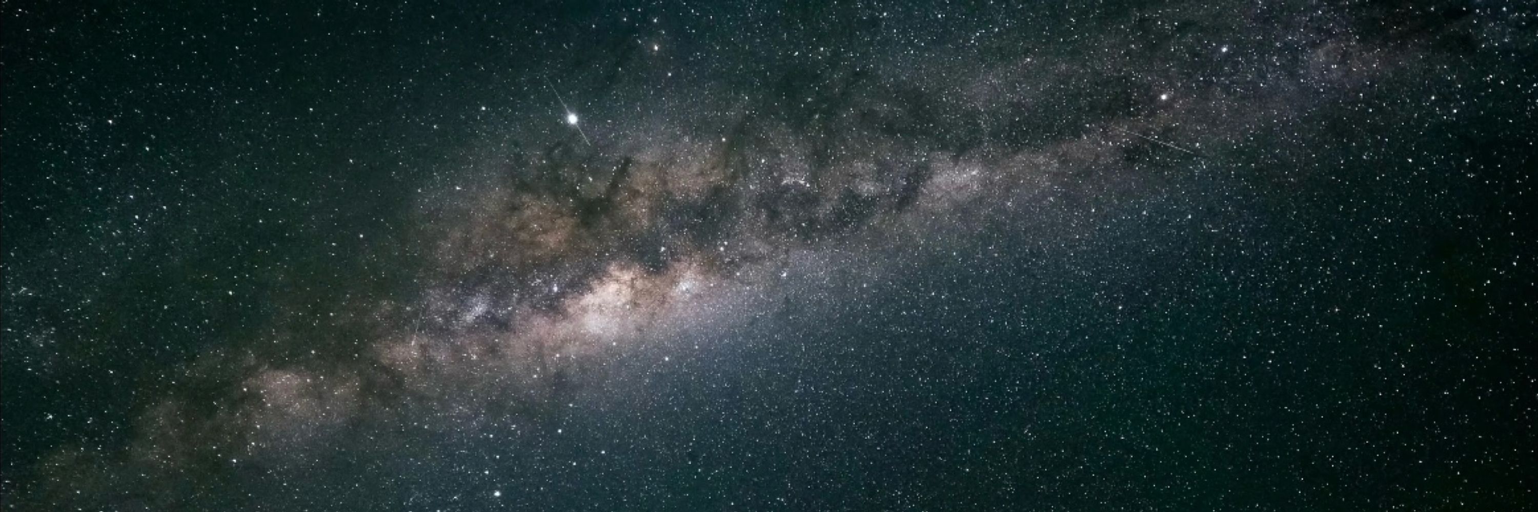 沈星回
