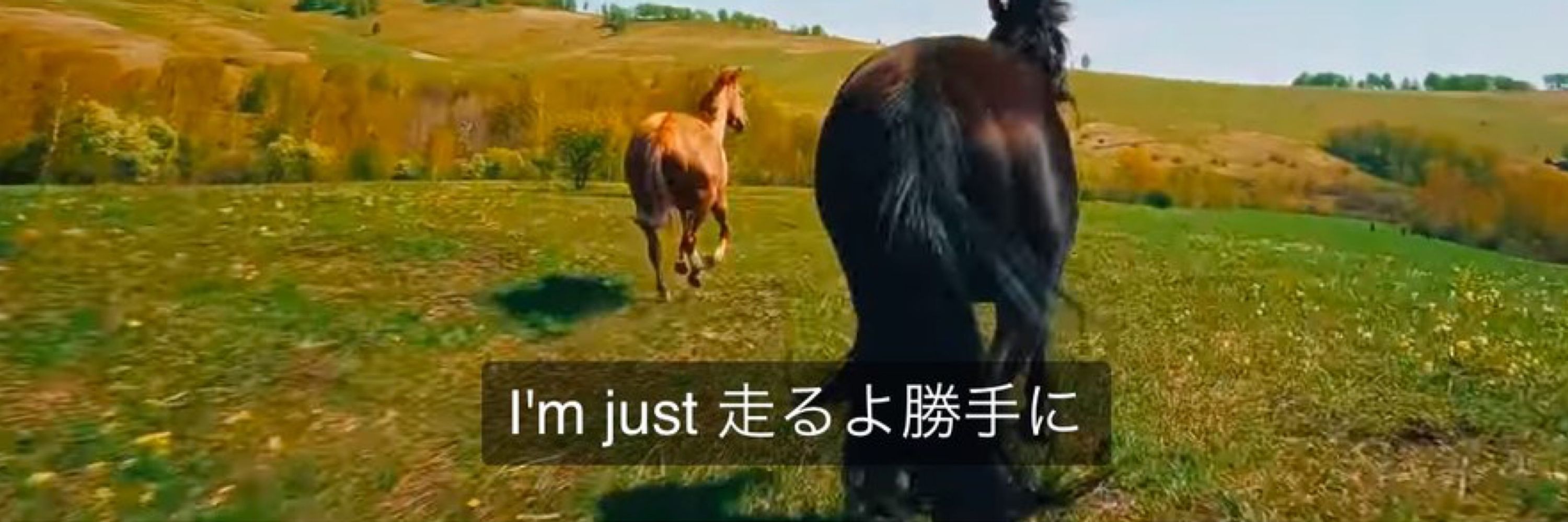 怒涛