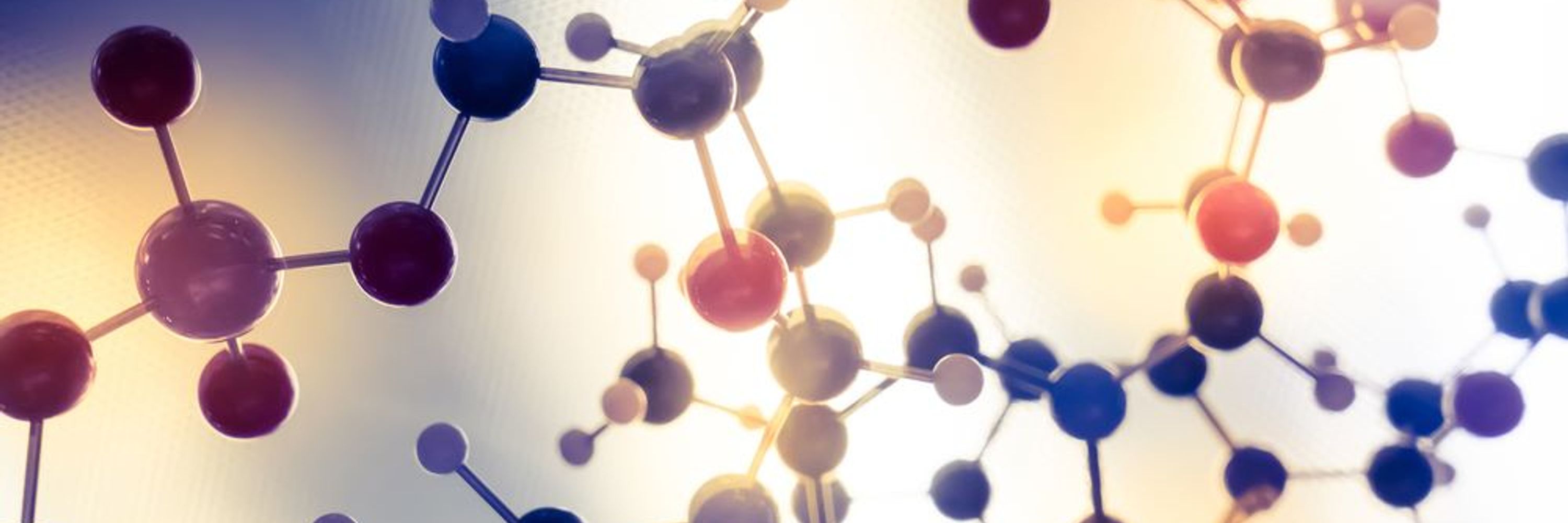 SCI - Where Science Meets Business