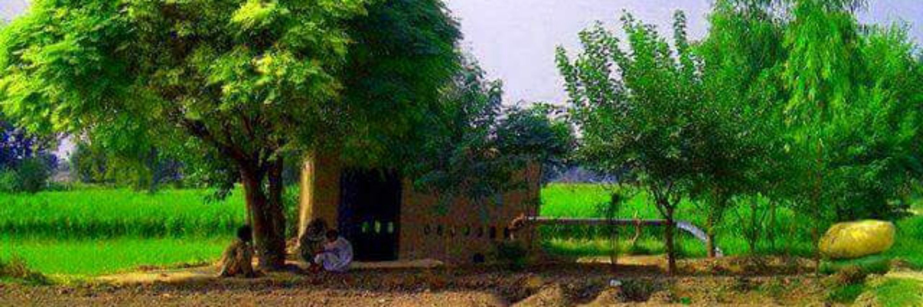 M.Tahir