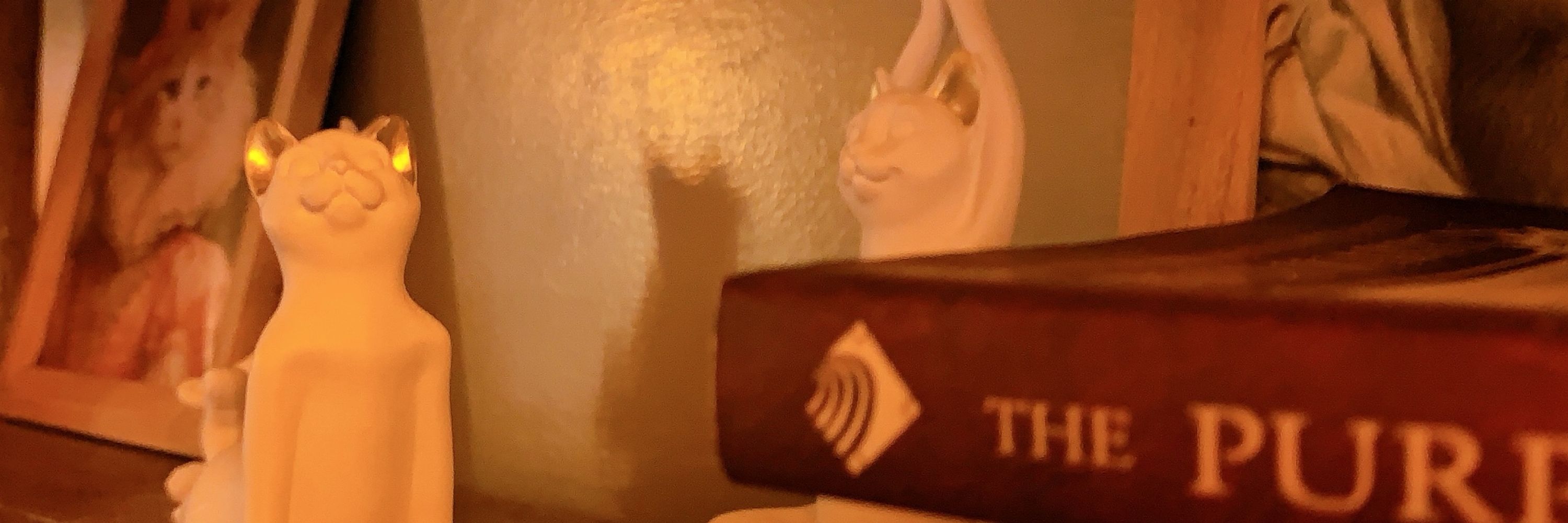 Kat H. 