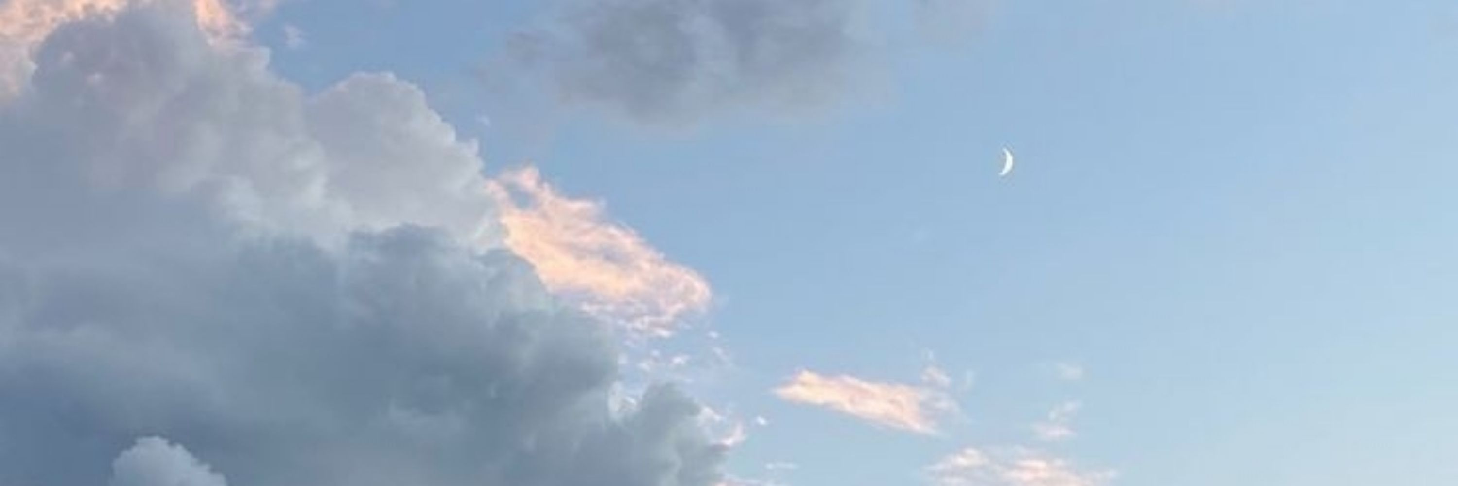 🩵⚘ FluffyFl0_ ☁️🪽