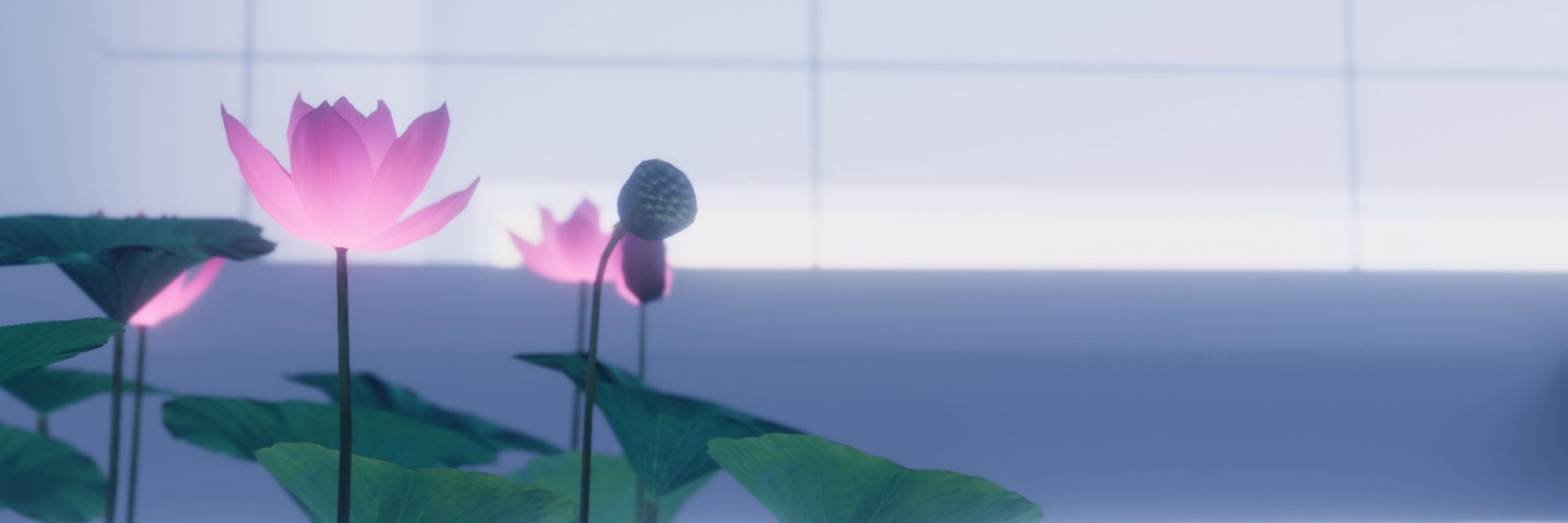 かぎり