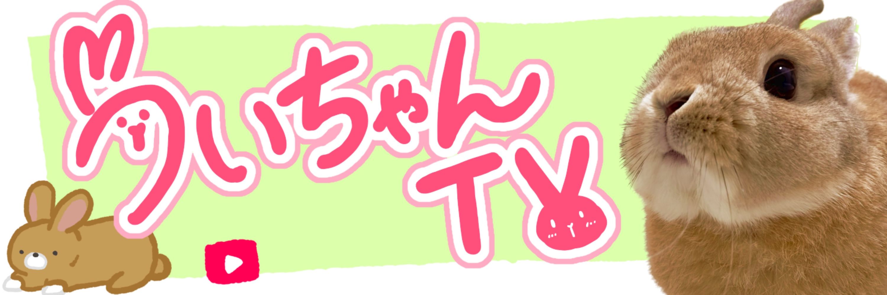 うさぎのうい🐰