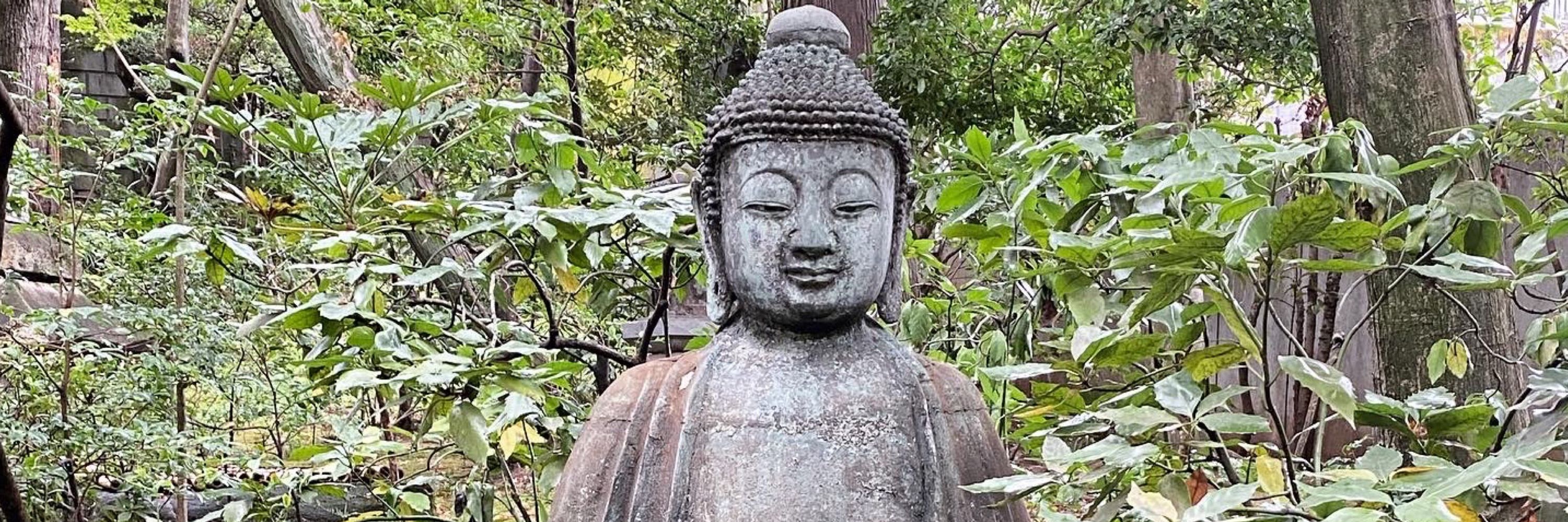 chikako