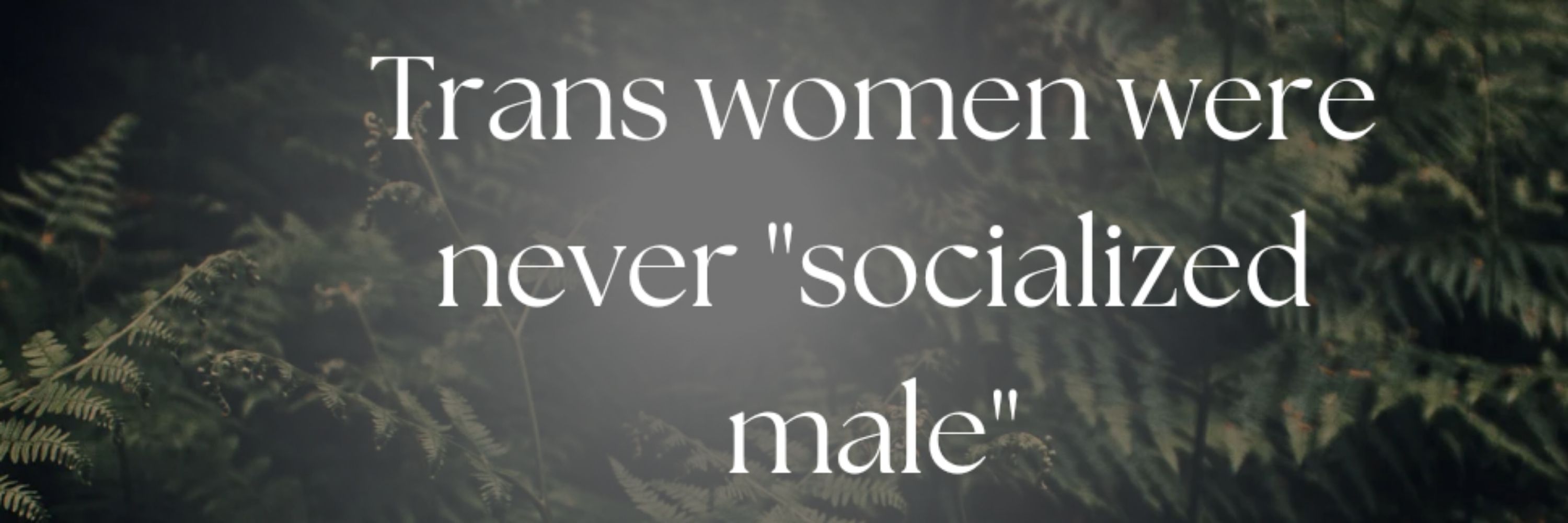 TranslucentEnby