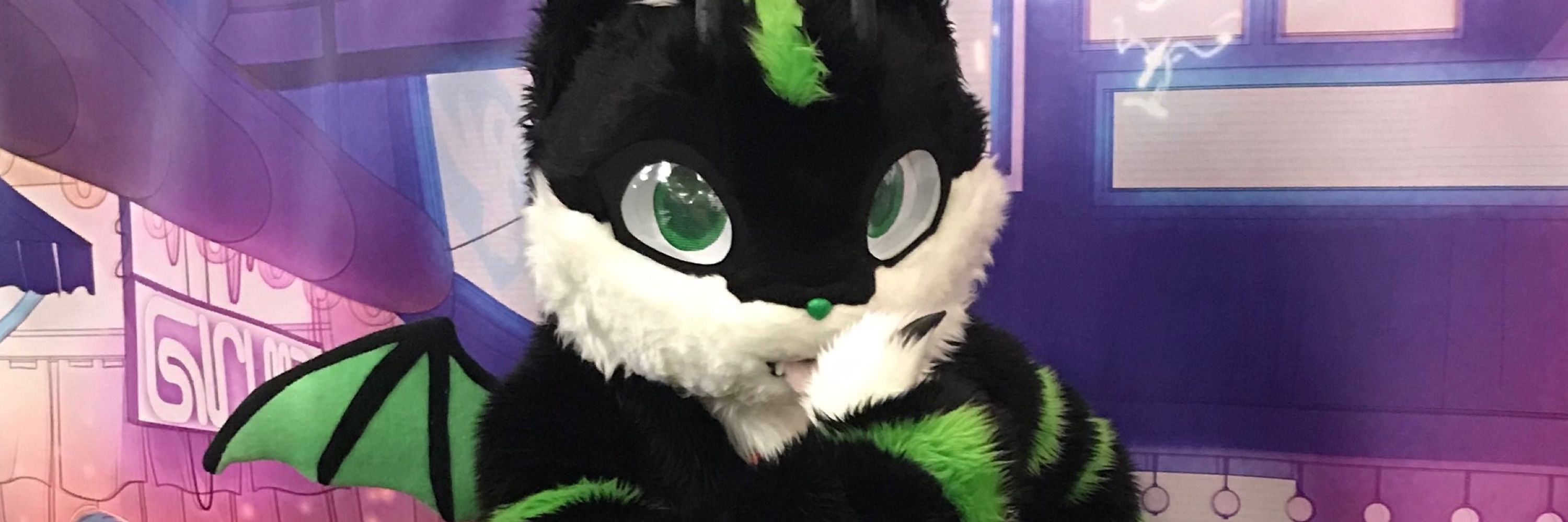 Zaf the Cat🔜ACFI