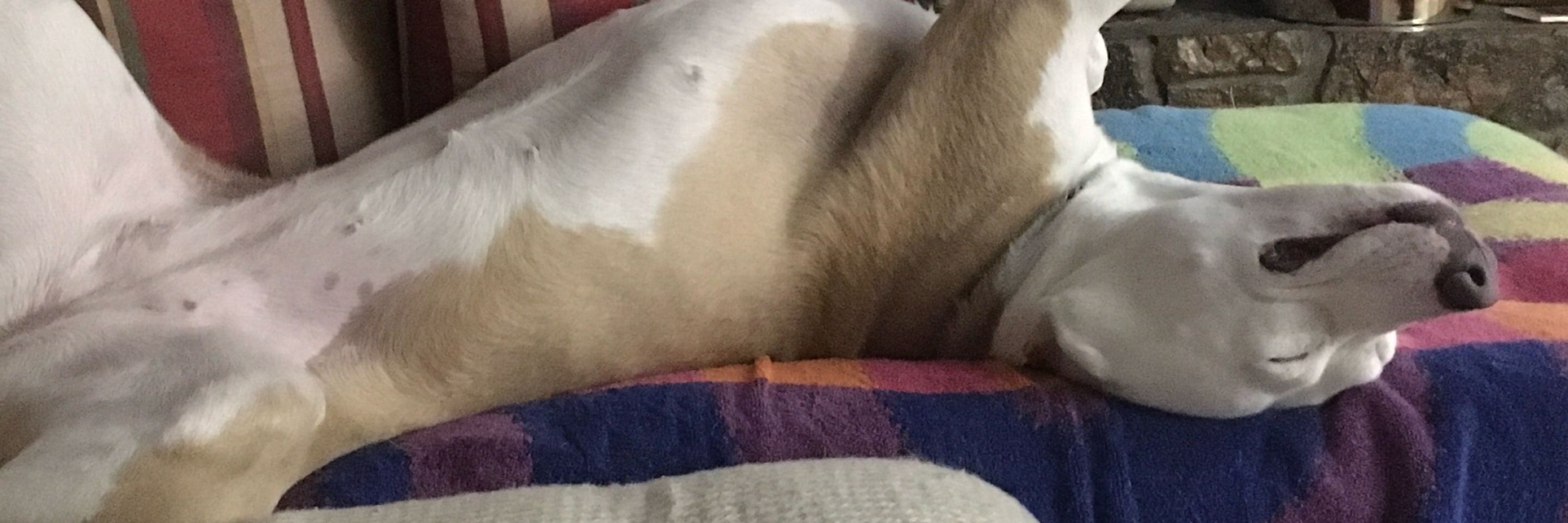 Spike