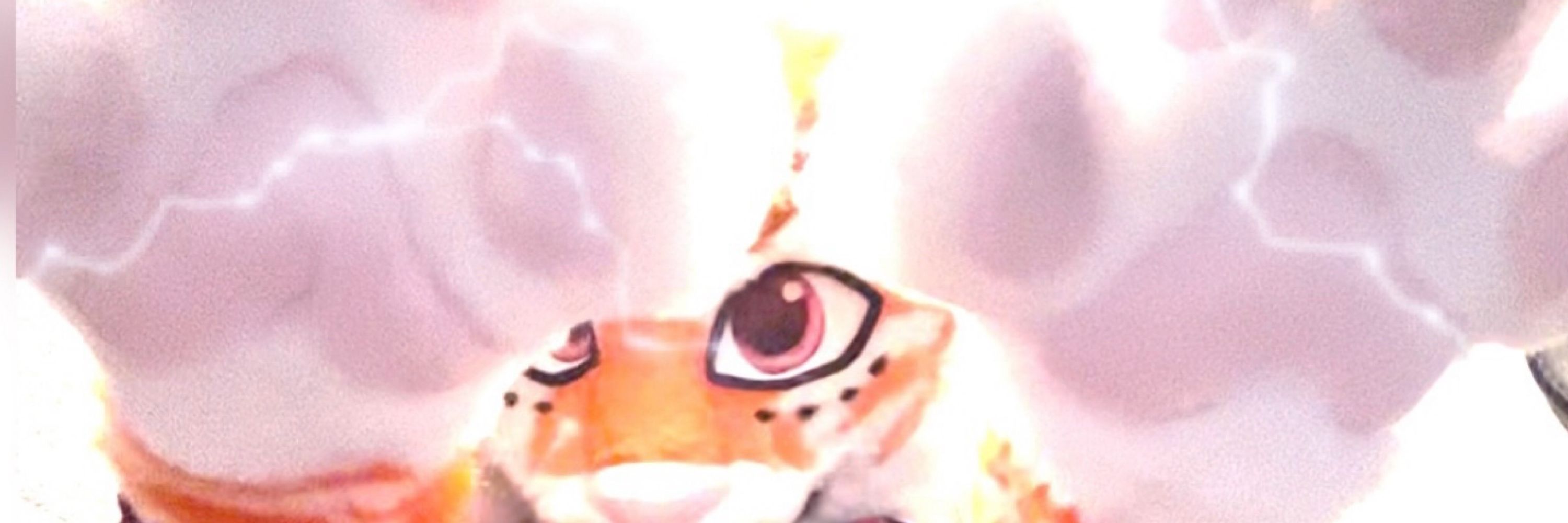 RykerDaTiger