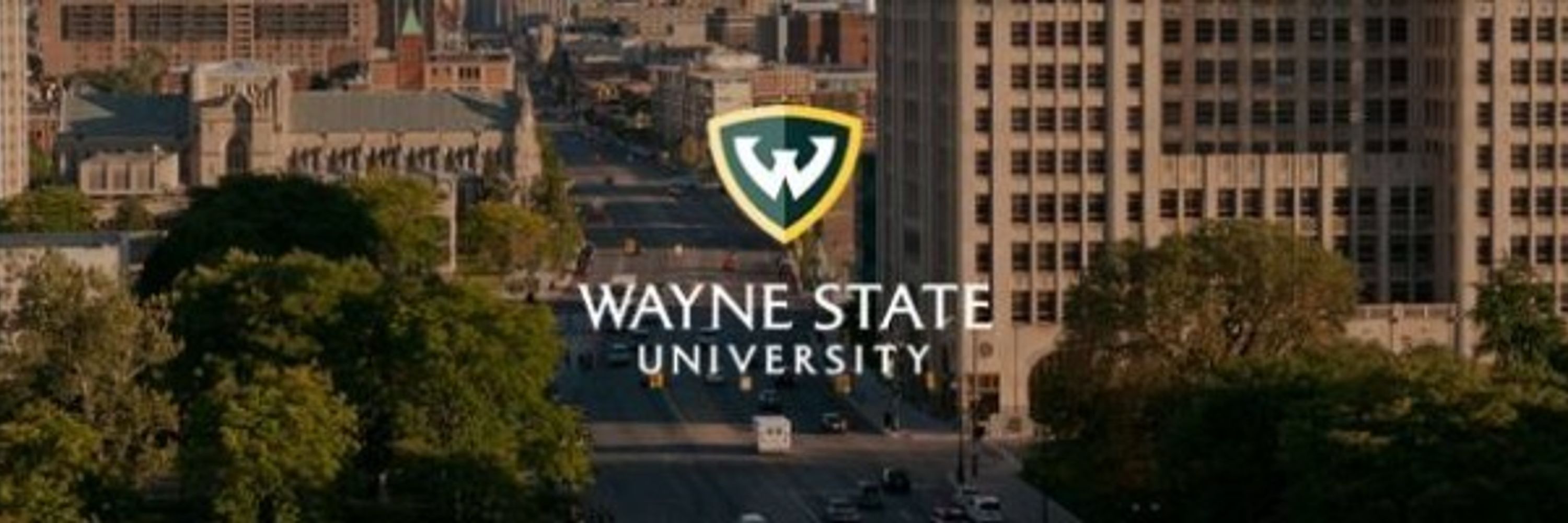 WSU Cannabinoids in Neurodevelopment (CANDID)