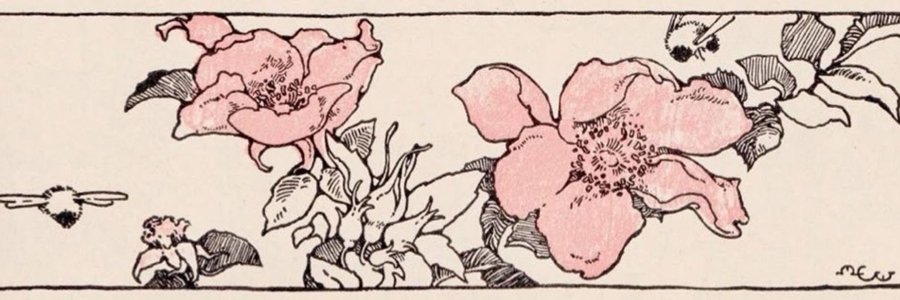   ᥣι𐌔ㅤ ‌ࣳ w. 𝗁𝗈𝗇𝖾𝗒 ꣑ৎ
